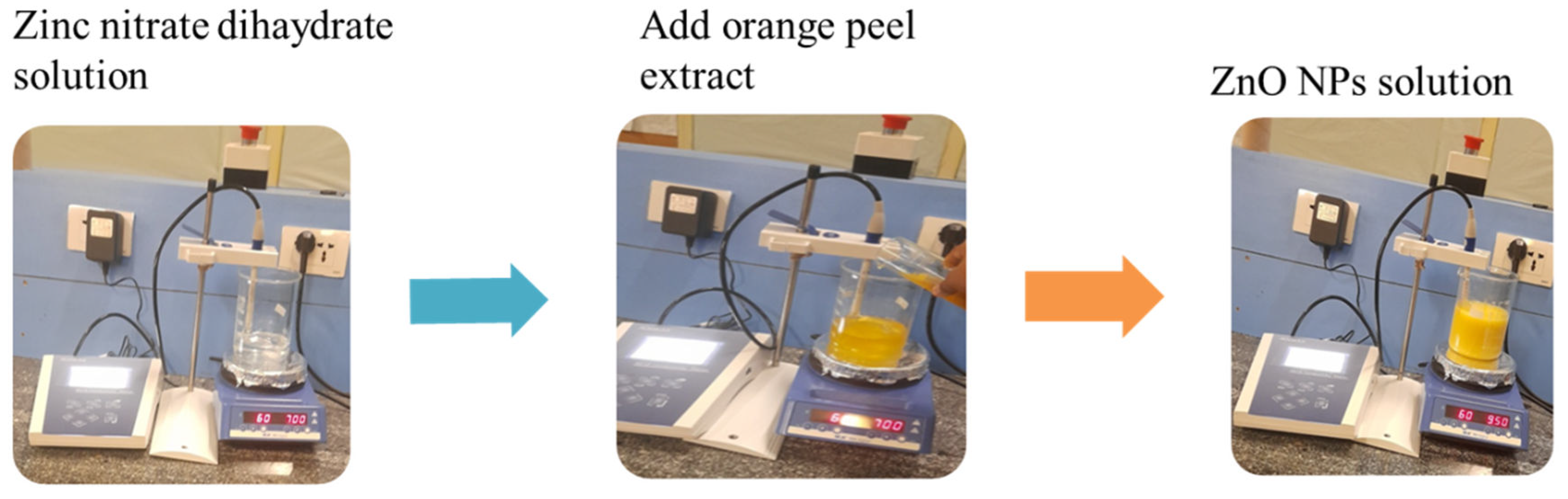 Preprints 106083 g002