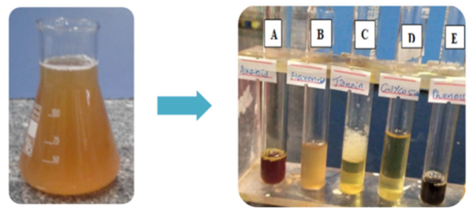Preprints 106083 g003