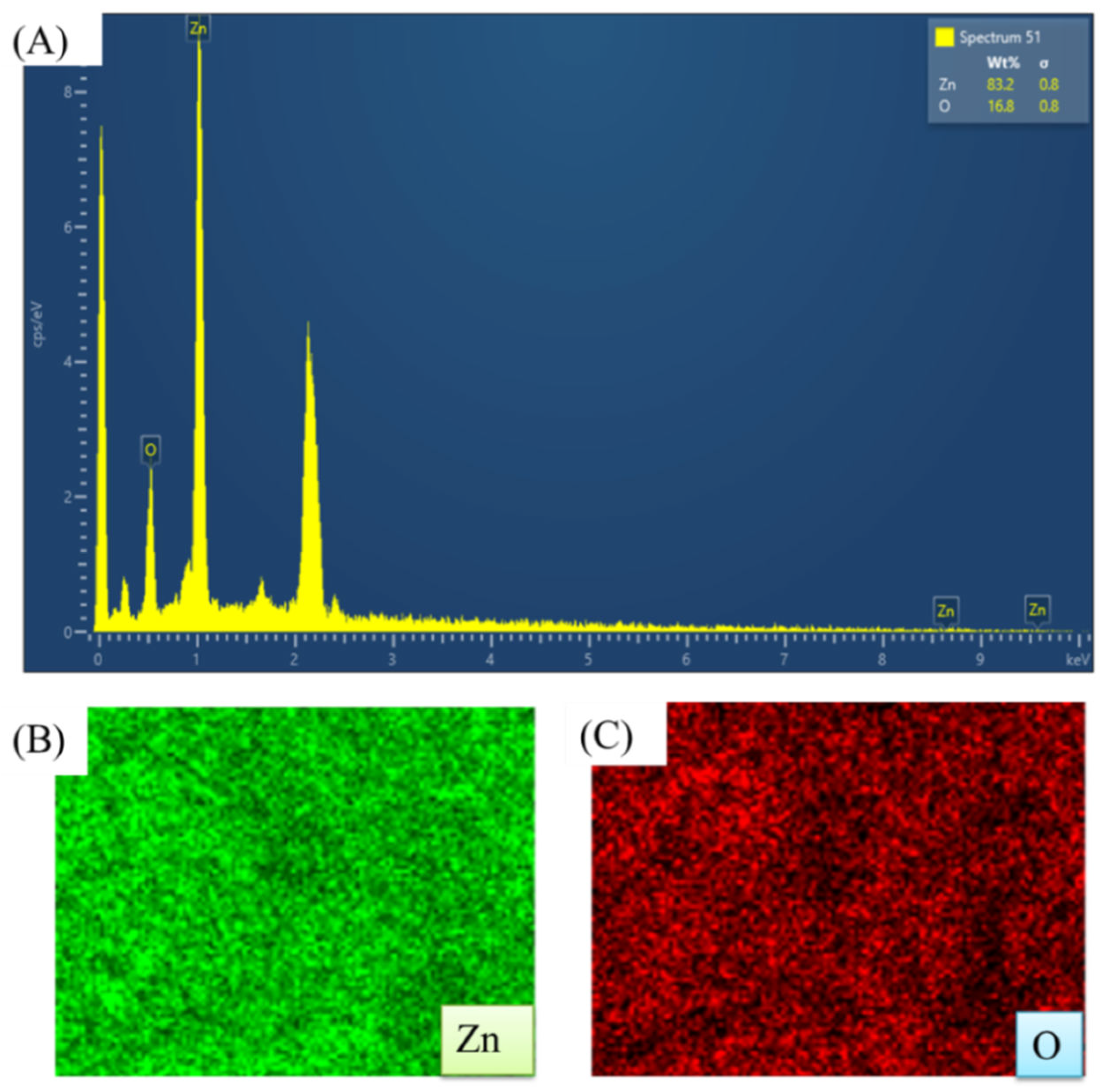 Preprints 106083 g019