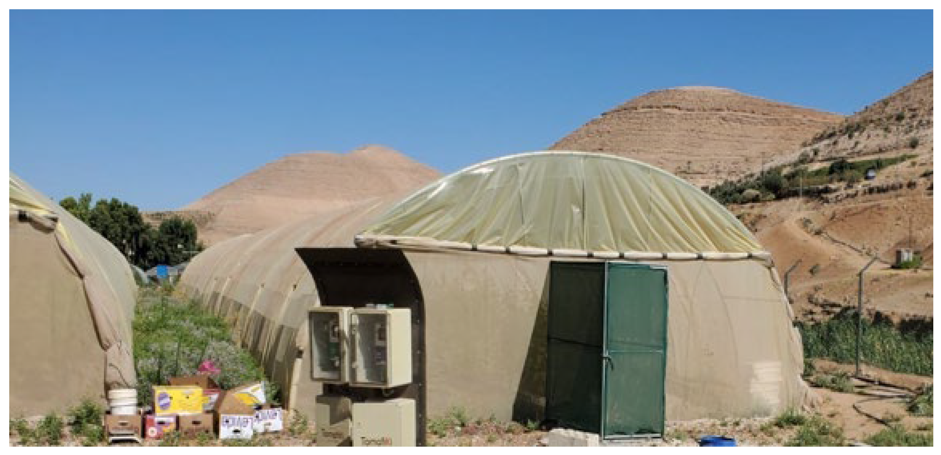 Preprints 155217 g002