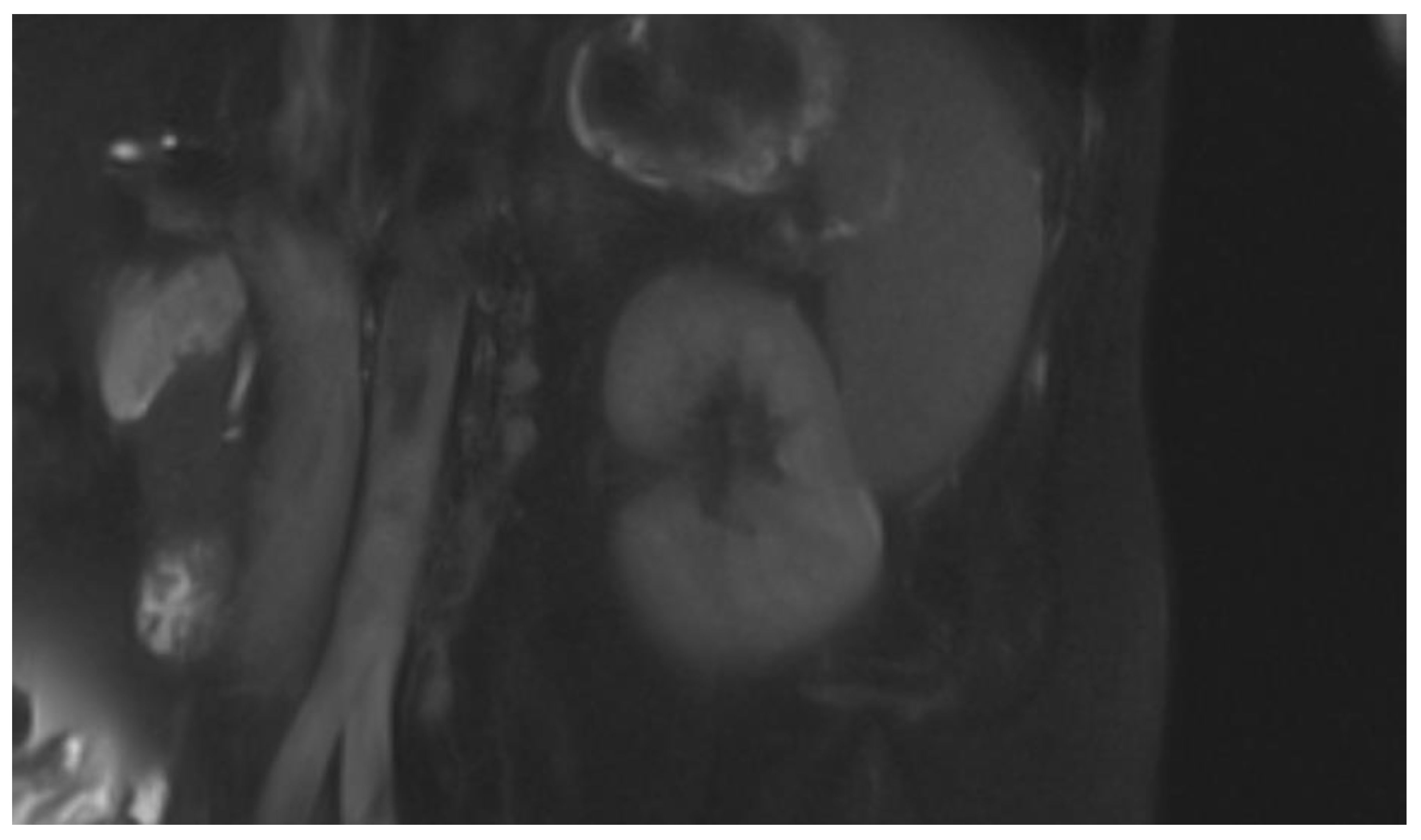 Preprints 165706 g002