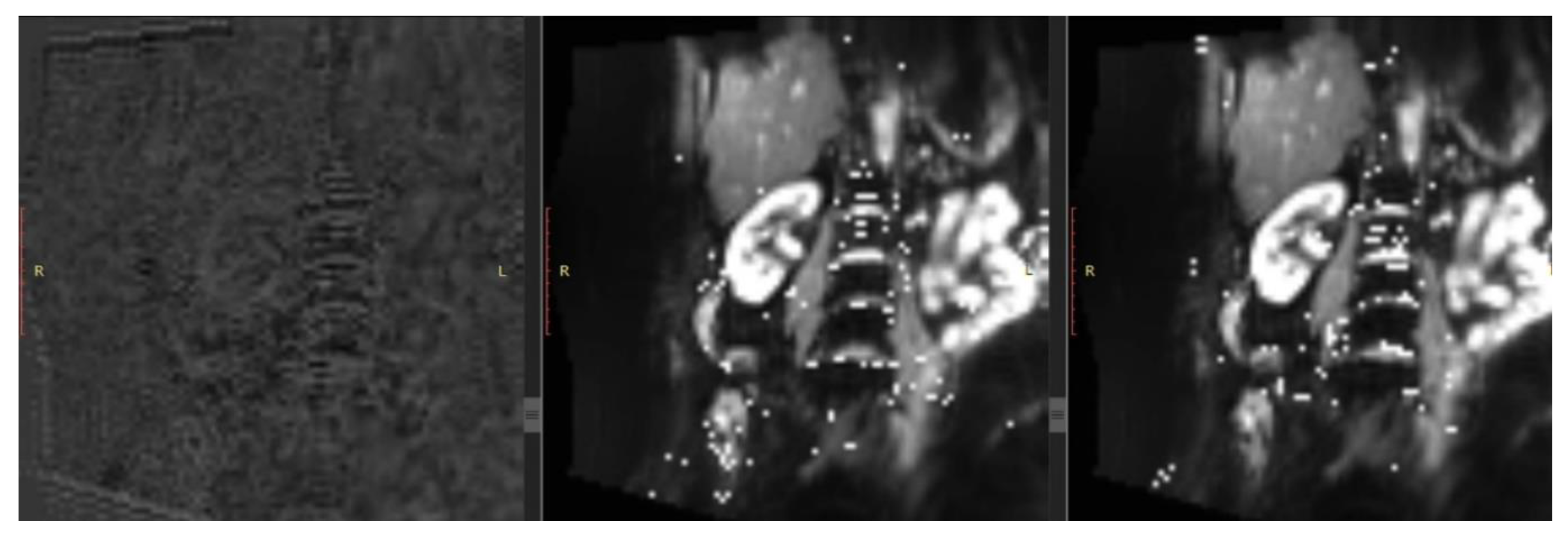 Preprints 165706 g004