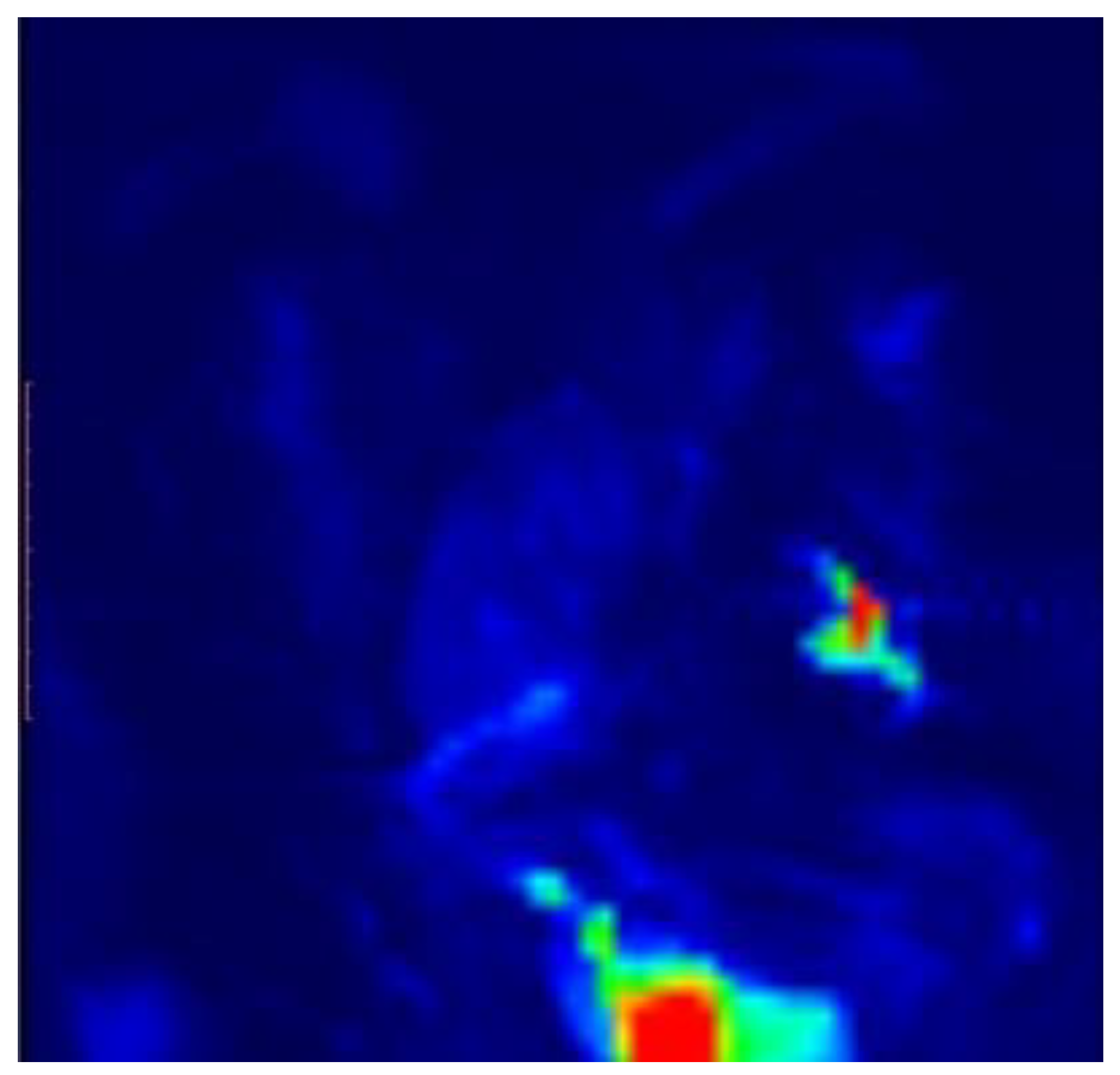 Preprints 165706 g005