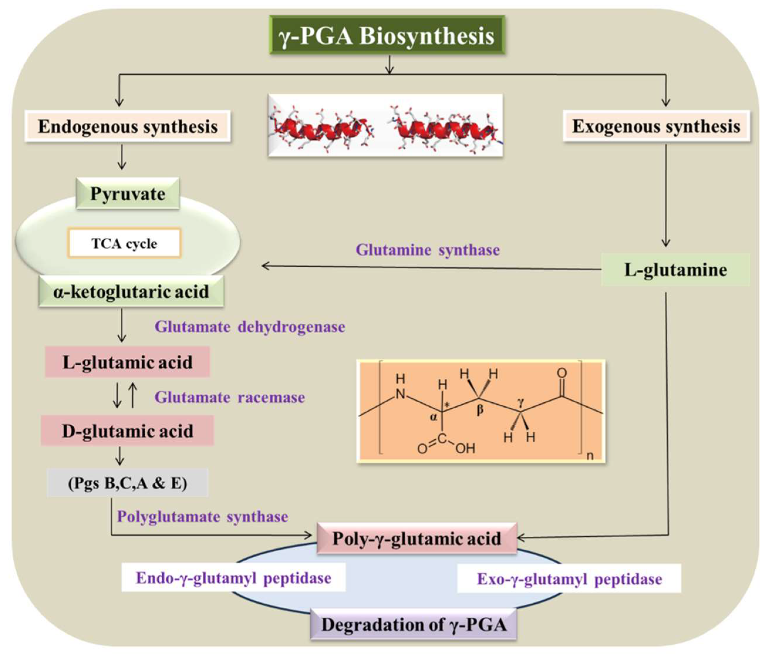 Preprints 150741 g001