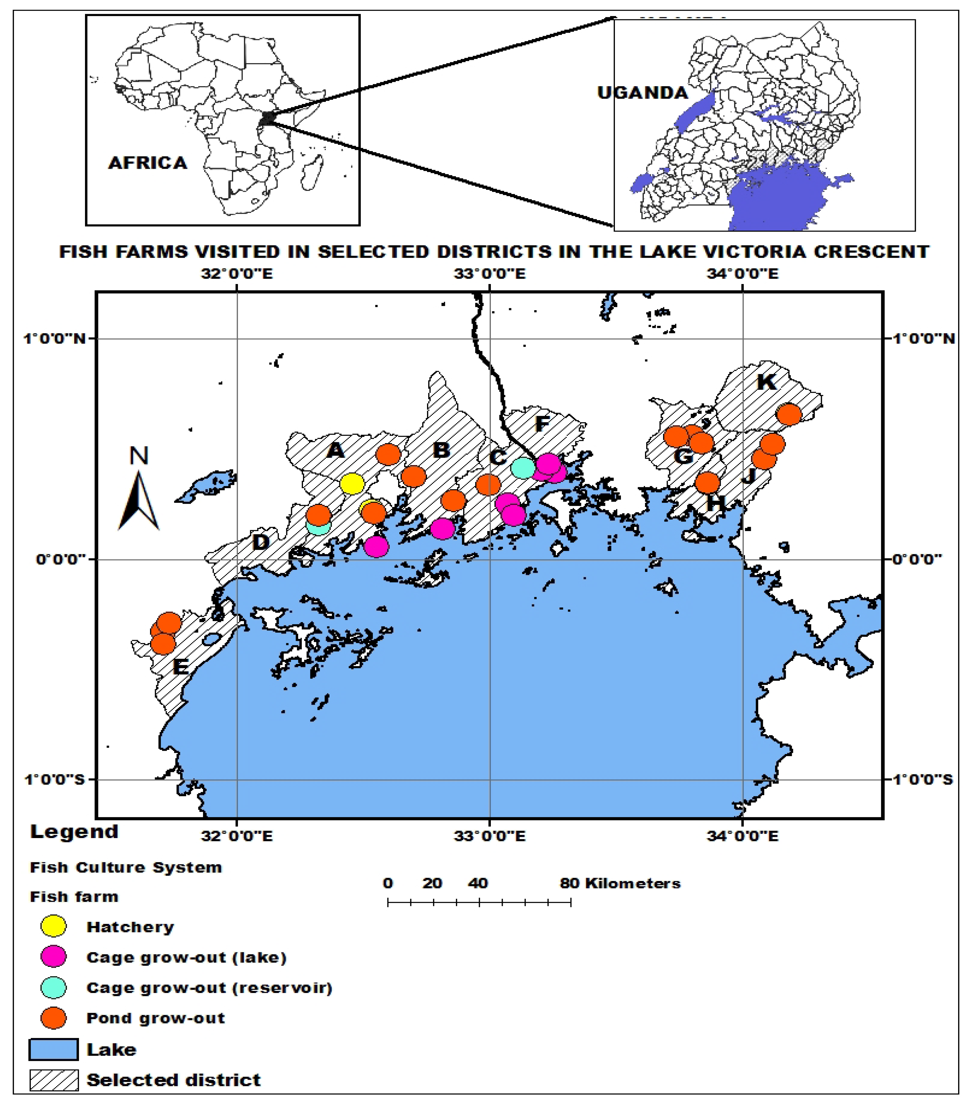 Preprints 149369 g001