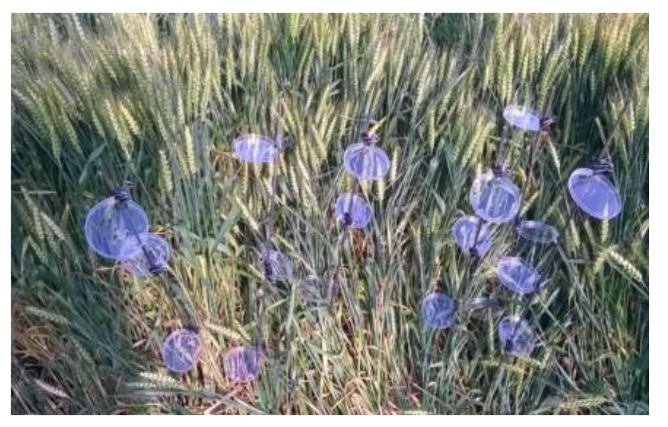 Preprints 152733 g001