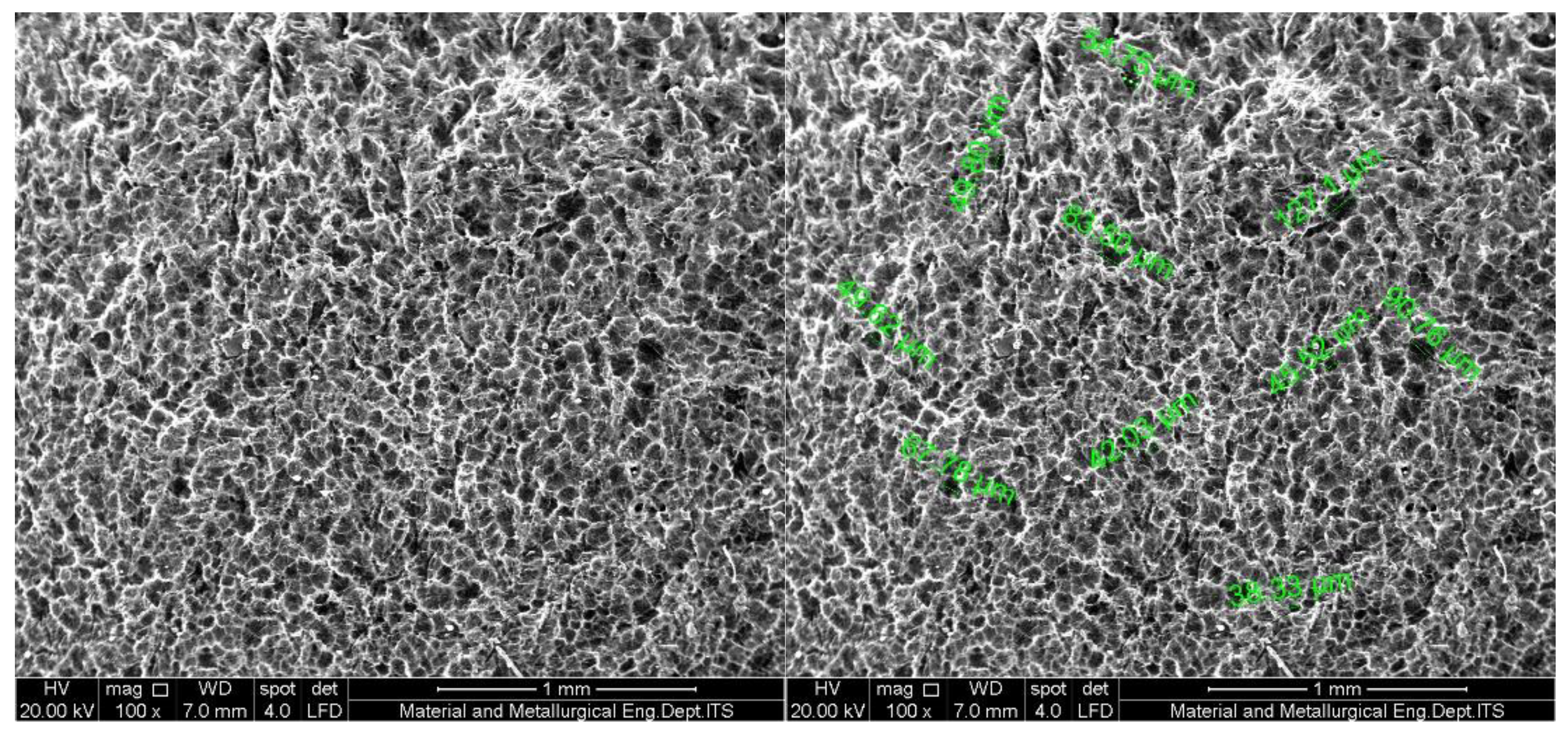 Preprints 196748 g002