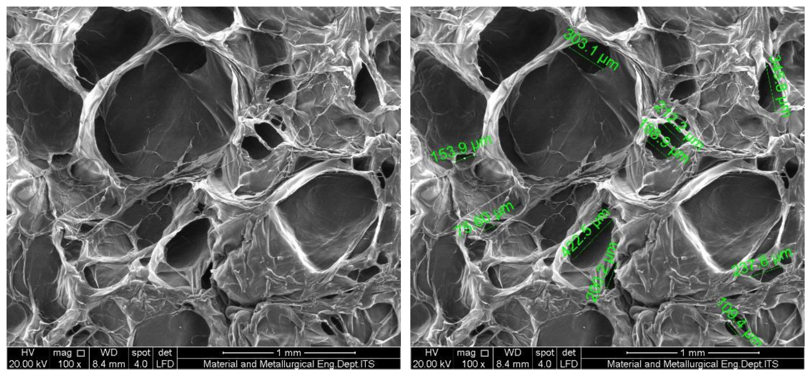 Preprints 196748 g003