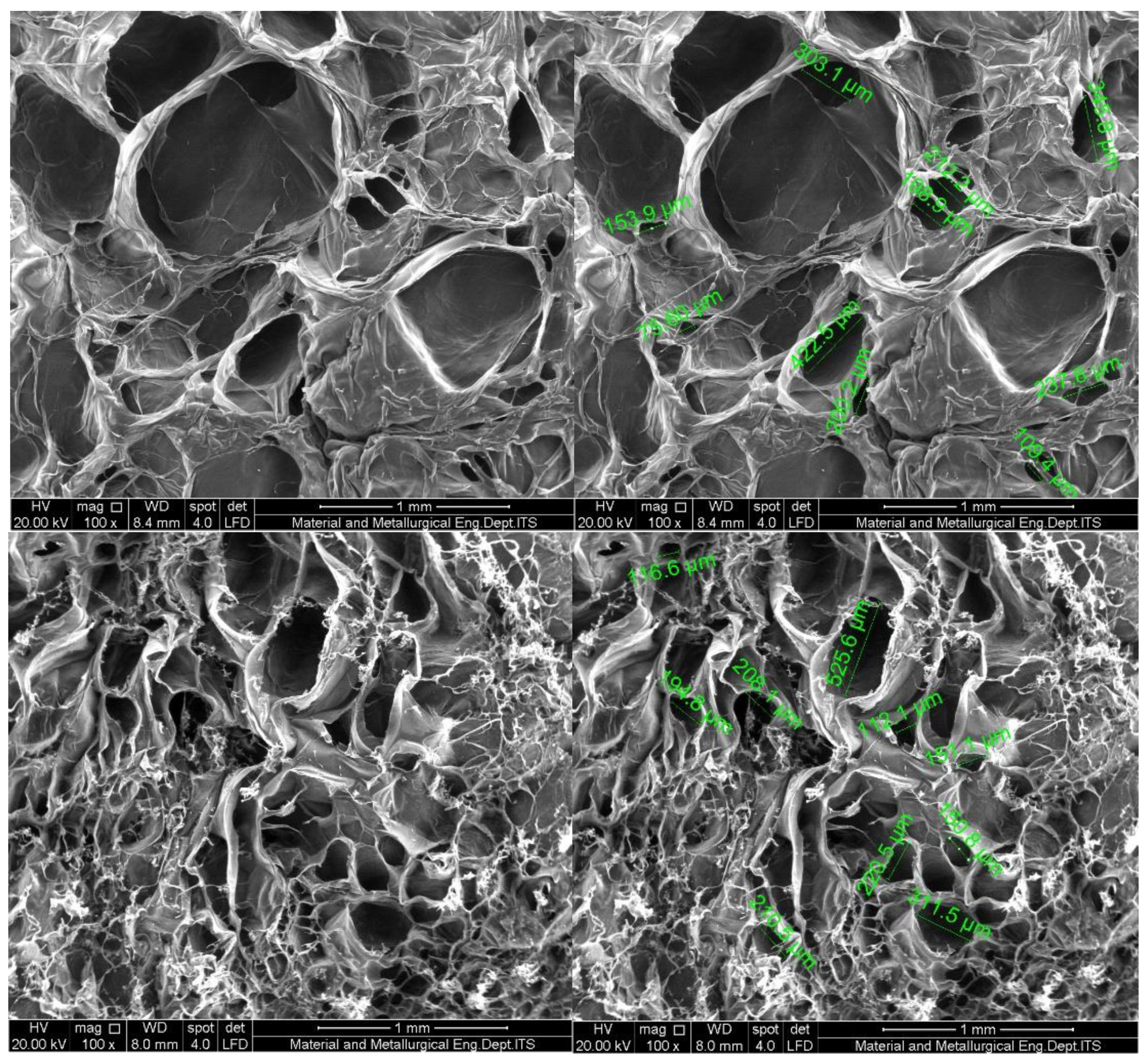 Preprints 196748 g004