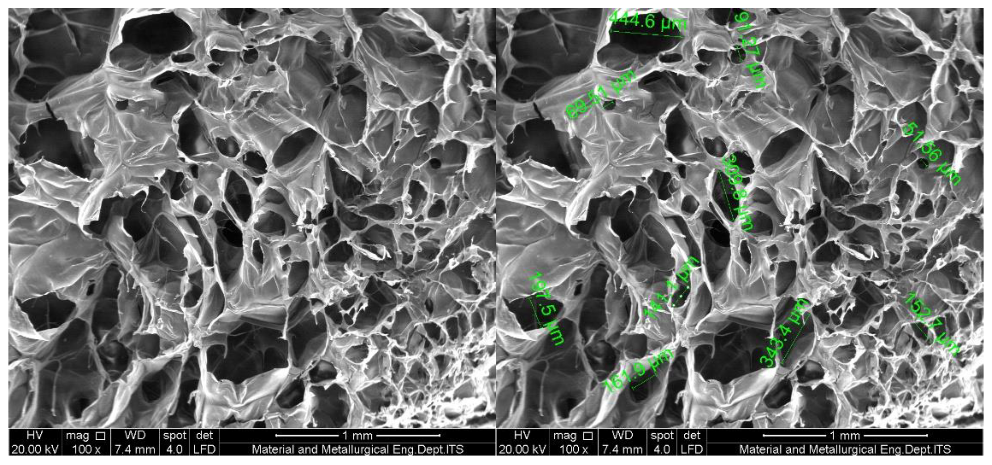 Preprints 196748 g005