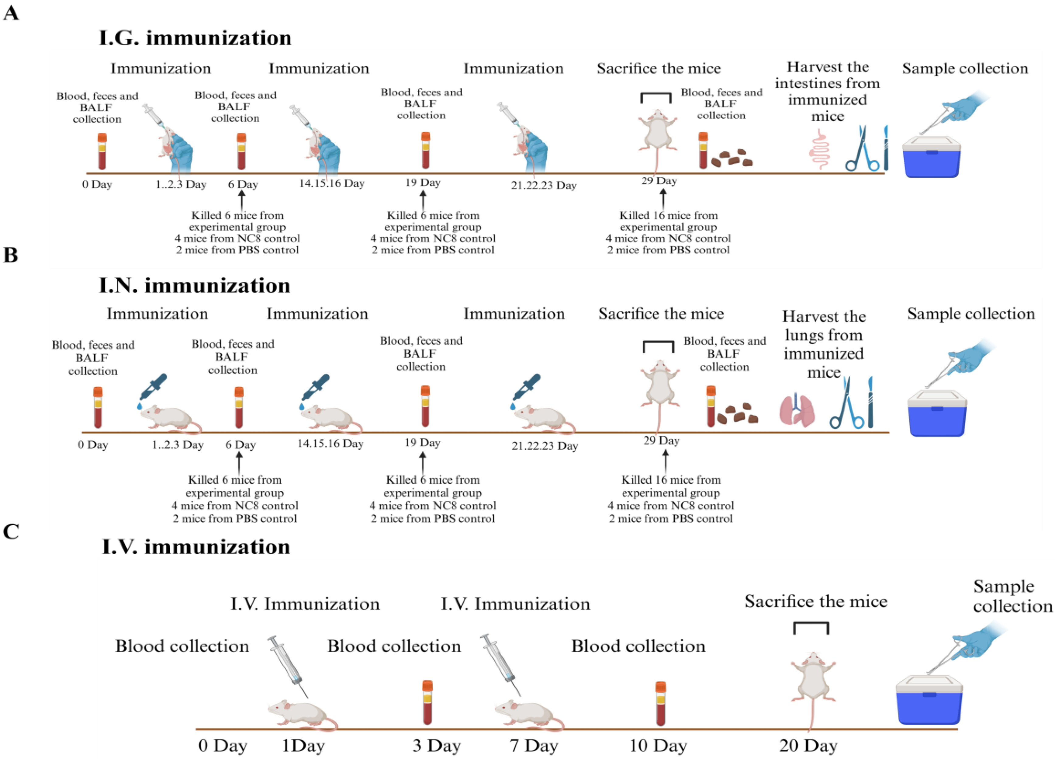 Preprints 160447 g001