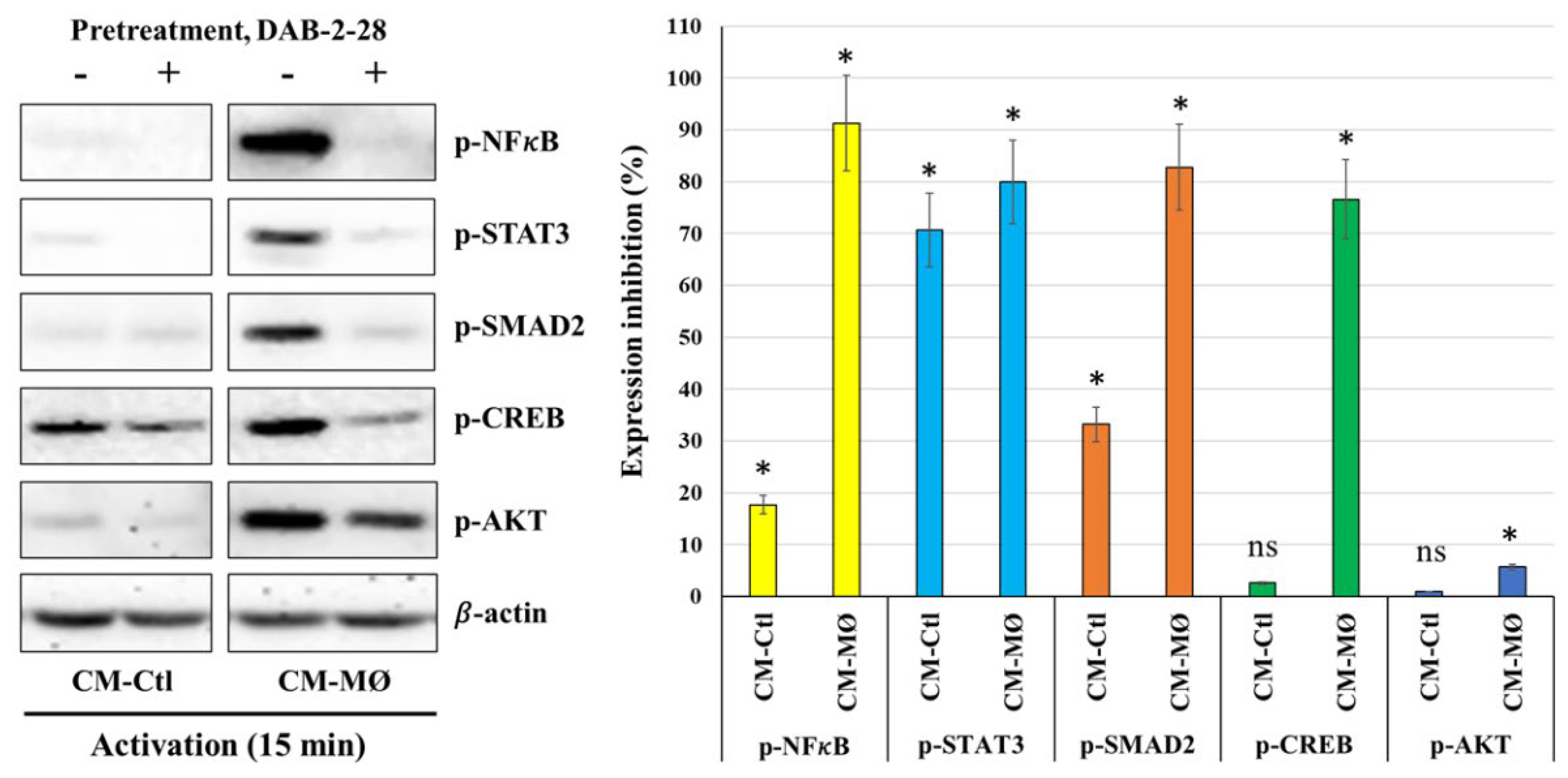 Preprints 166267 g005