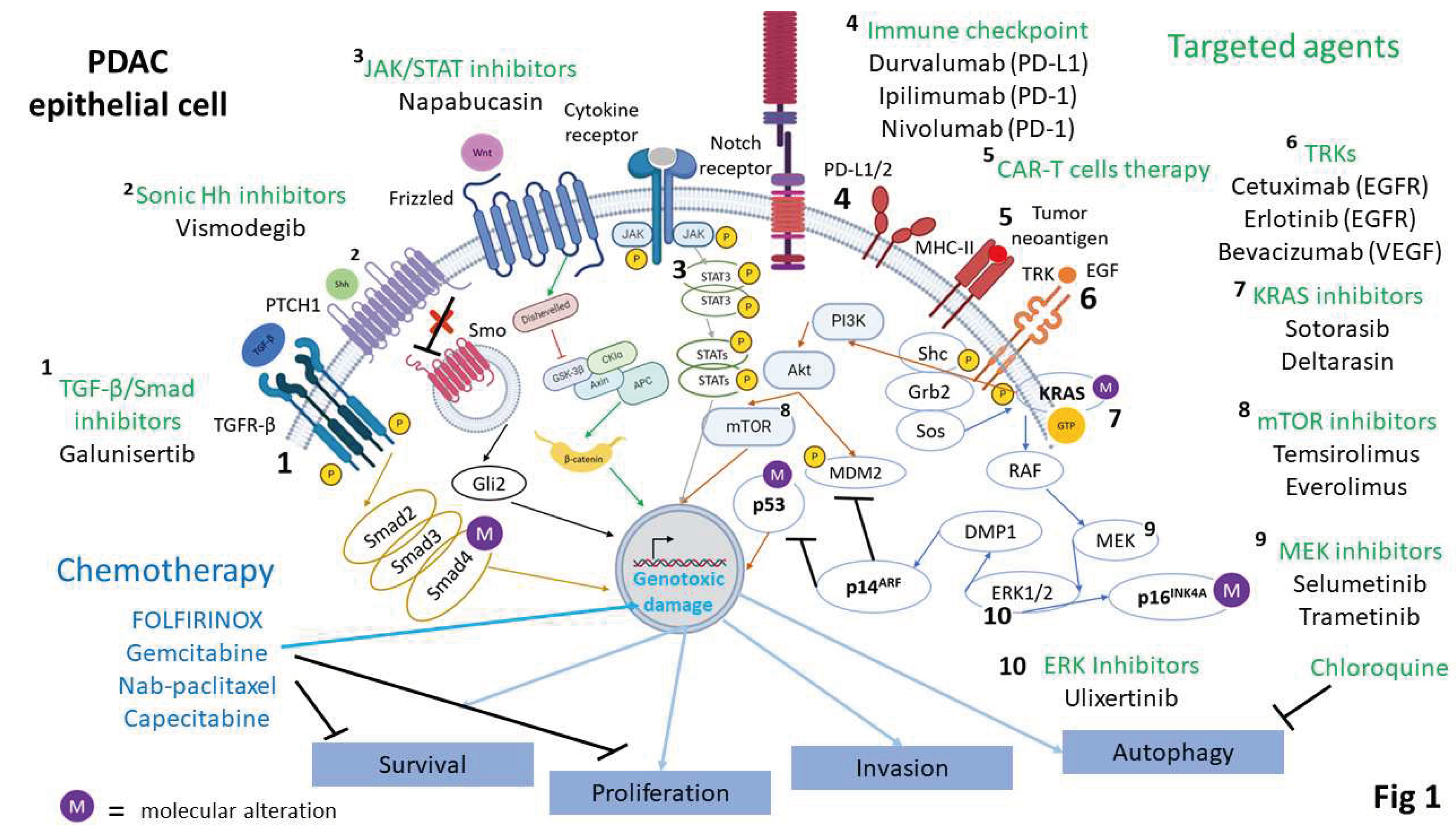 Preprints 95484 g001
