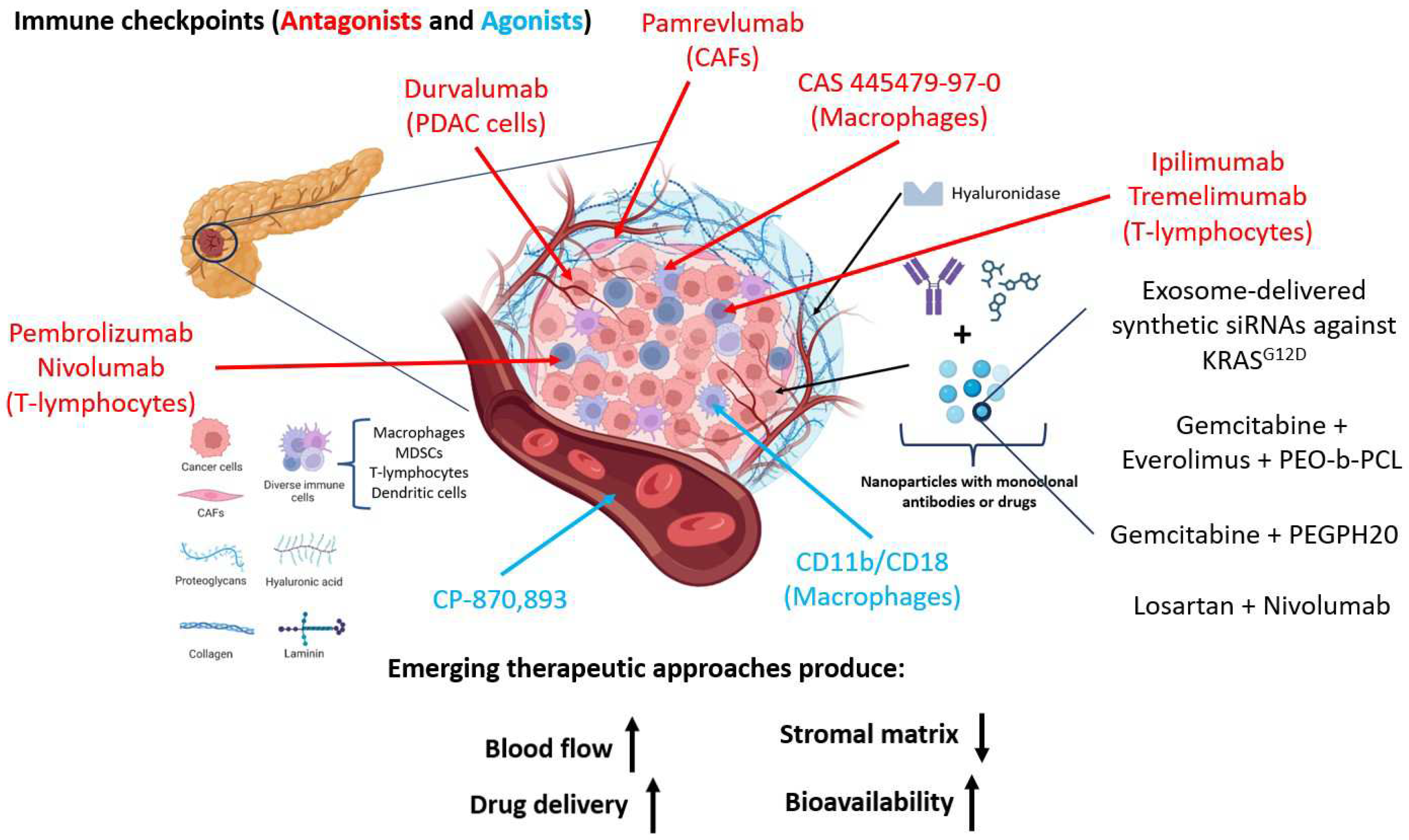 Preprints 95484 g002