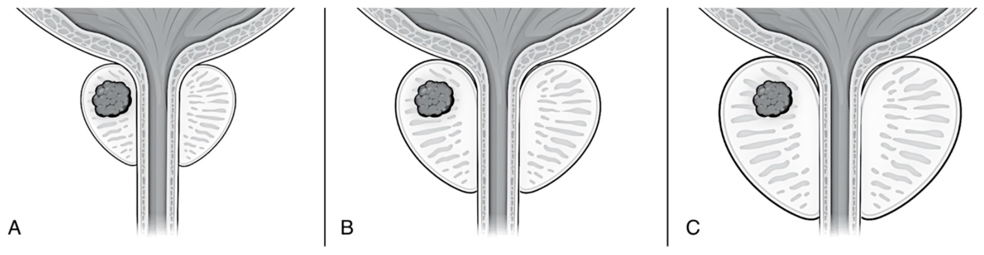 Preprints 140094 g001