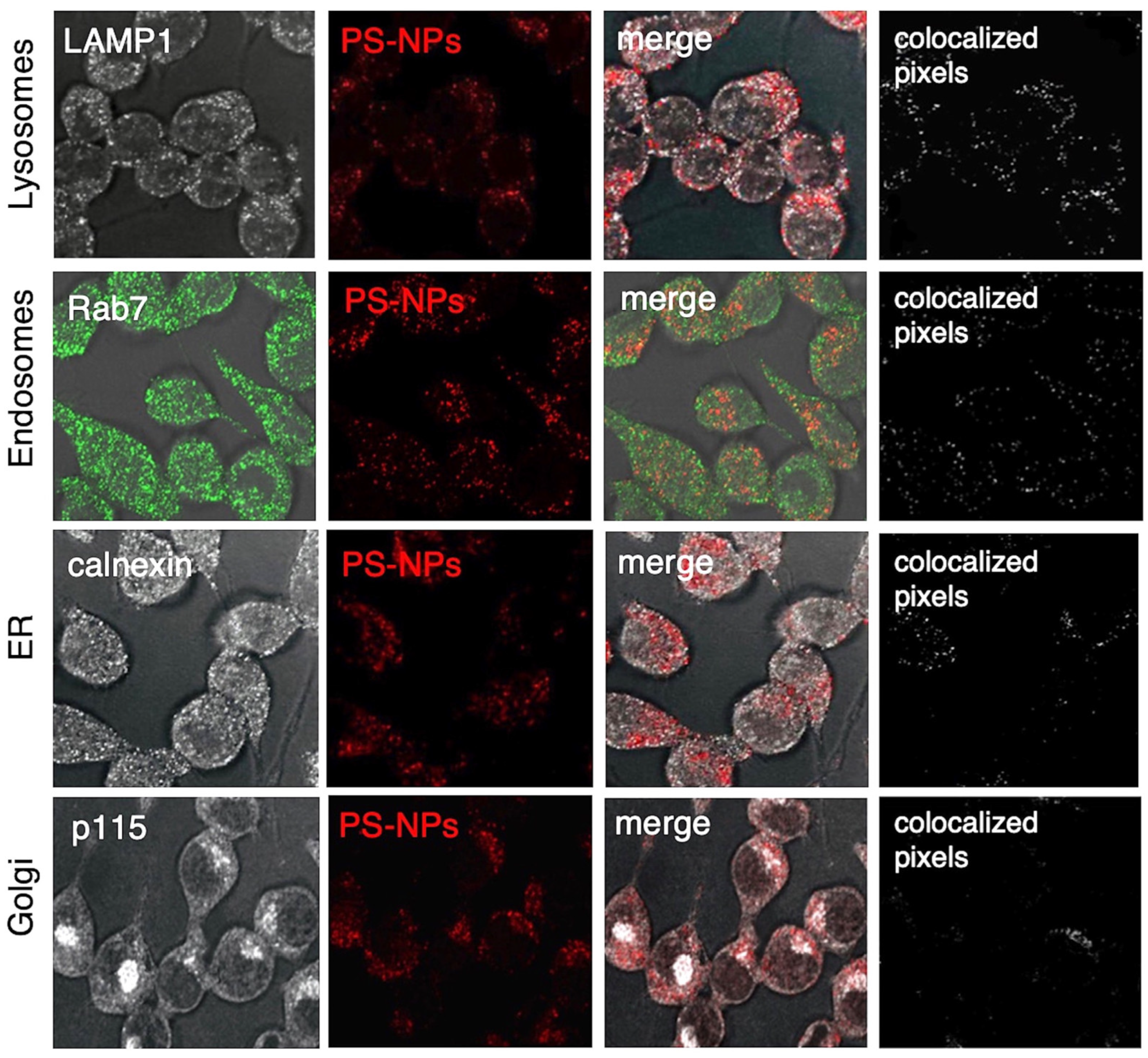 Preprints 176008 g002