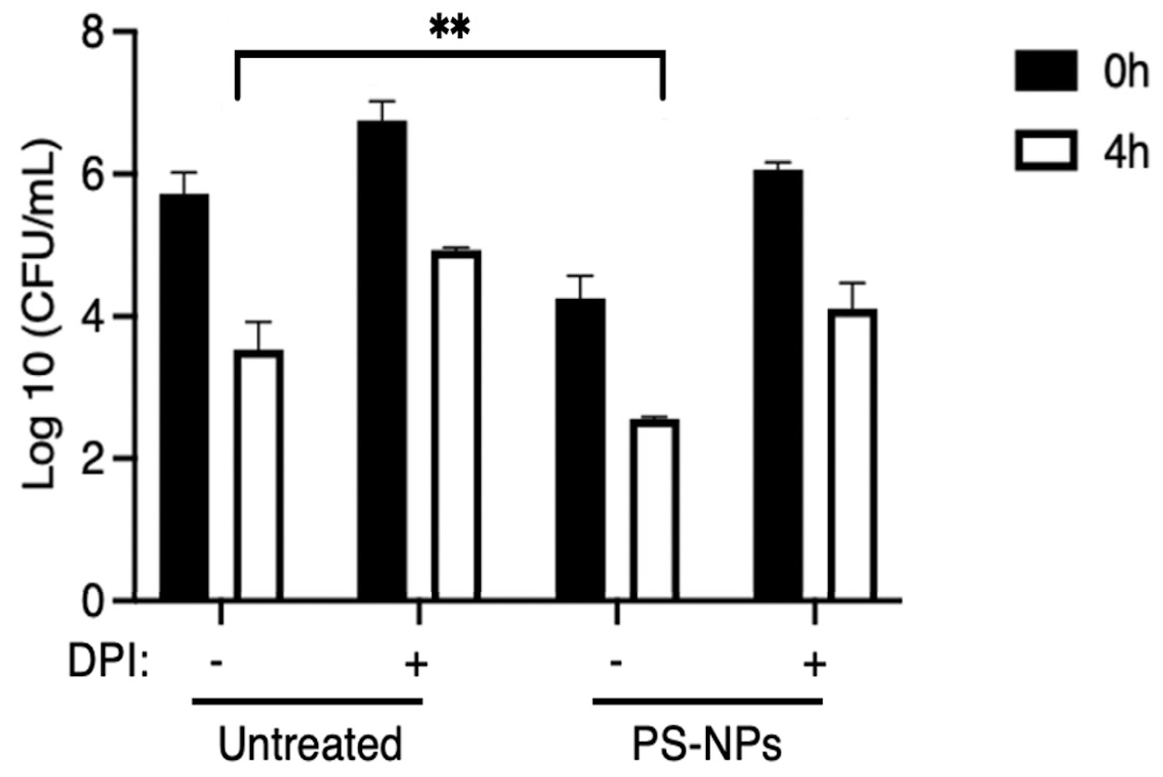 Preprints 176008 g003