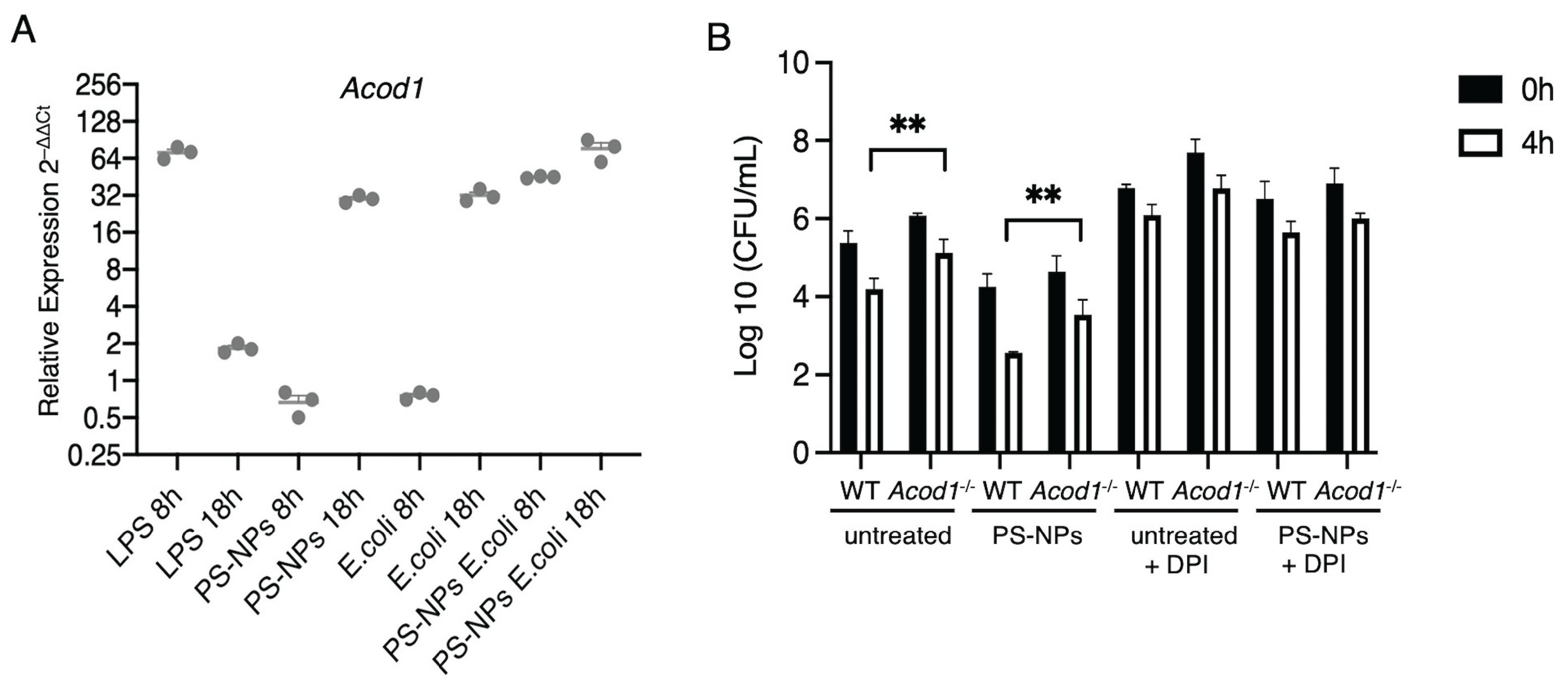 Preprints 176008 g006