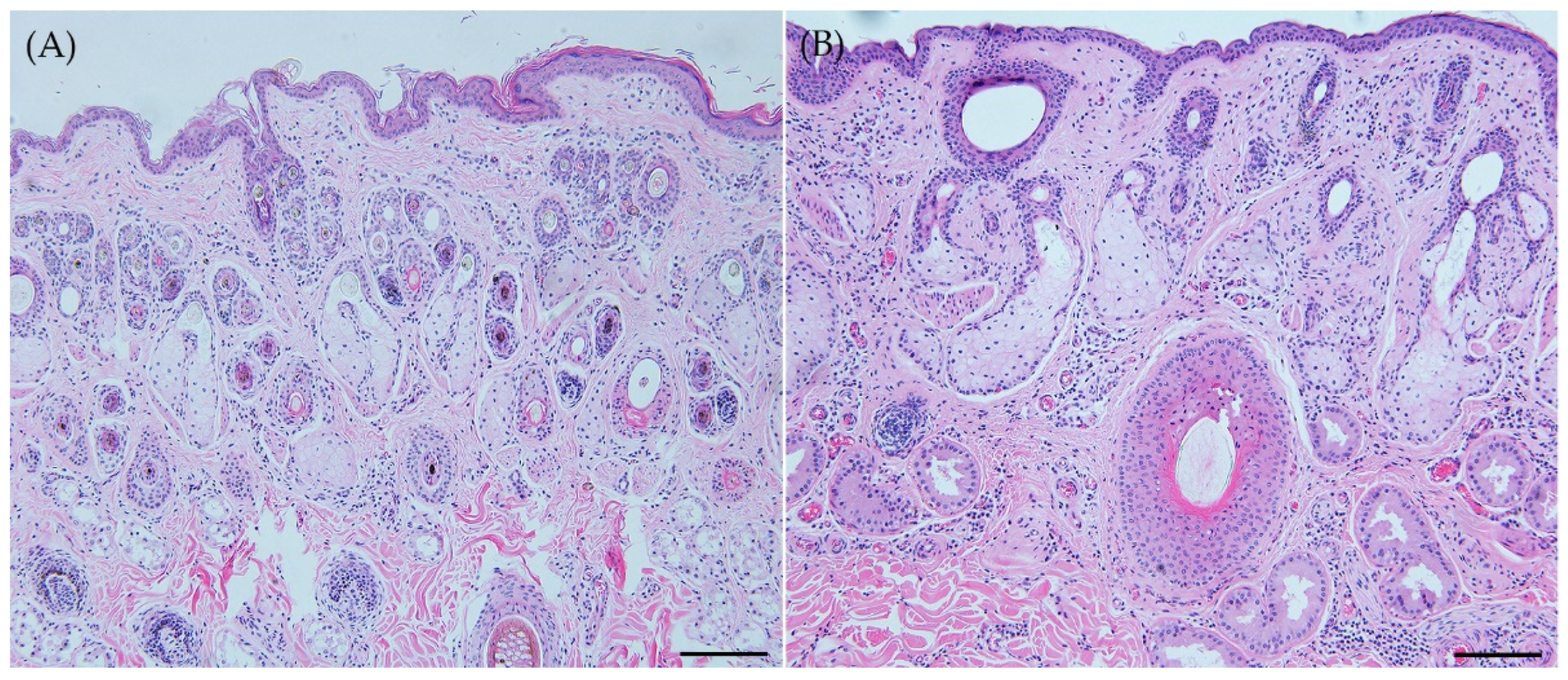 Preprints 86002 g001