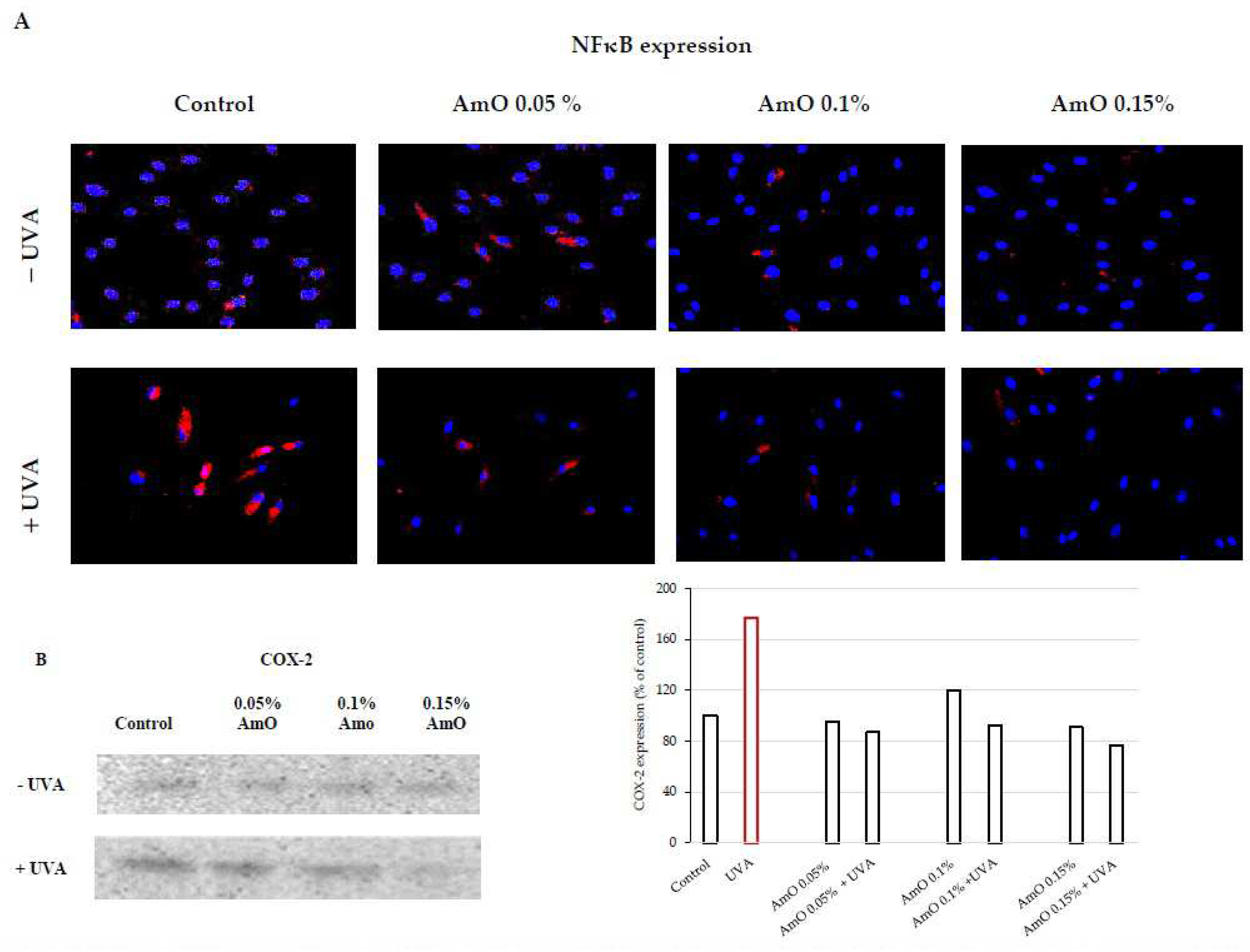Preprints 92715 g006