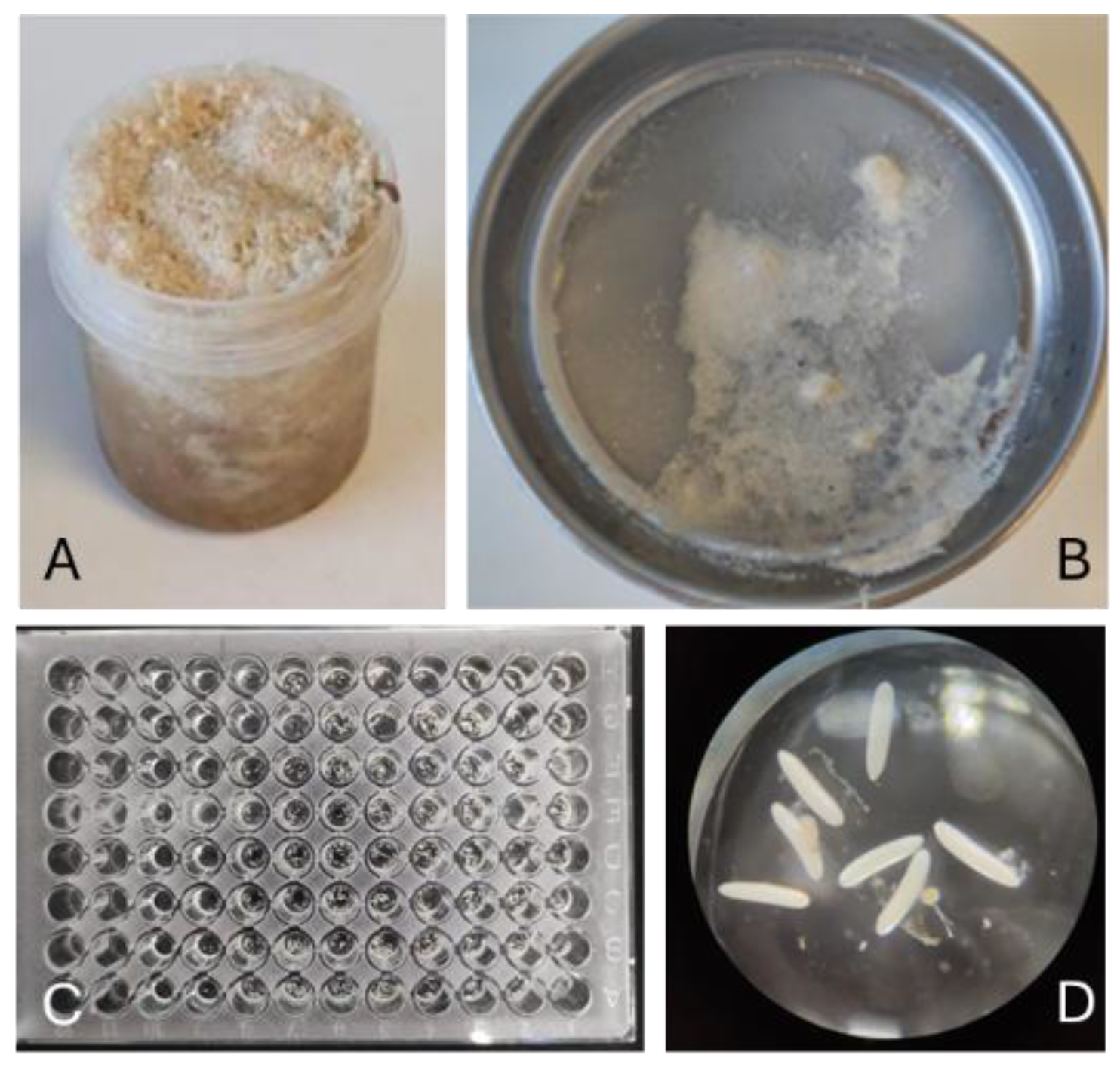Preprints 178907 g001