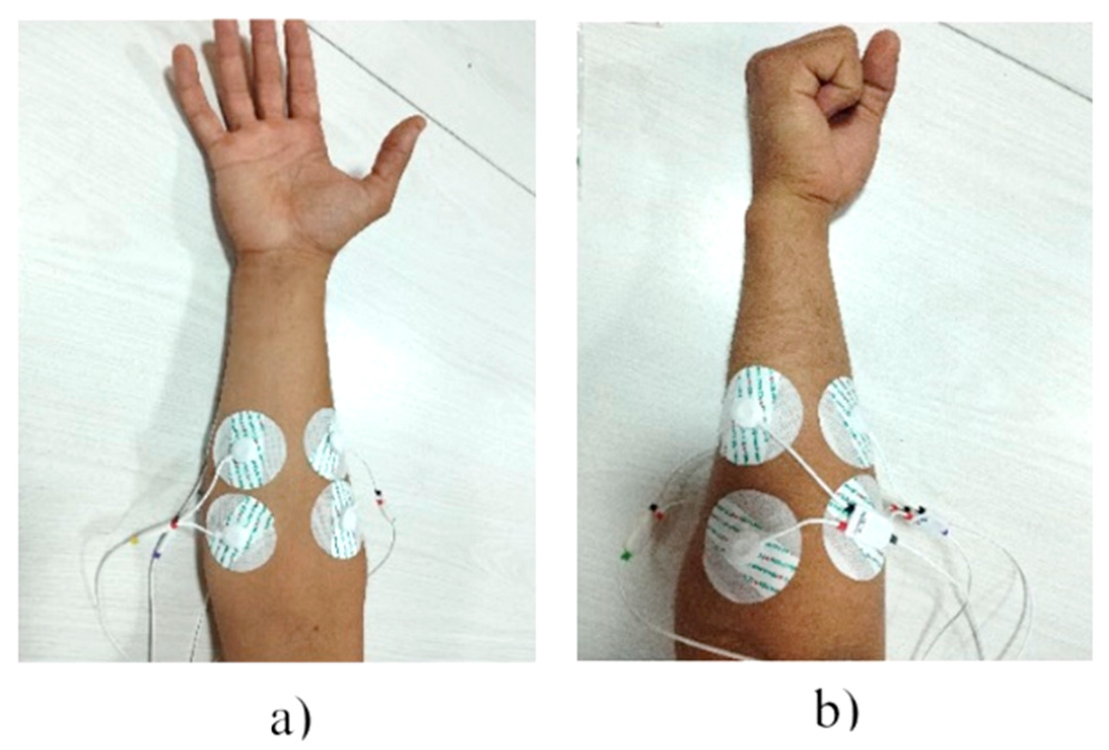 Preprints 164204 g003