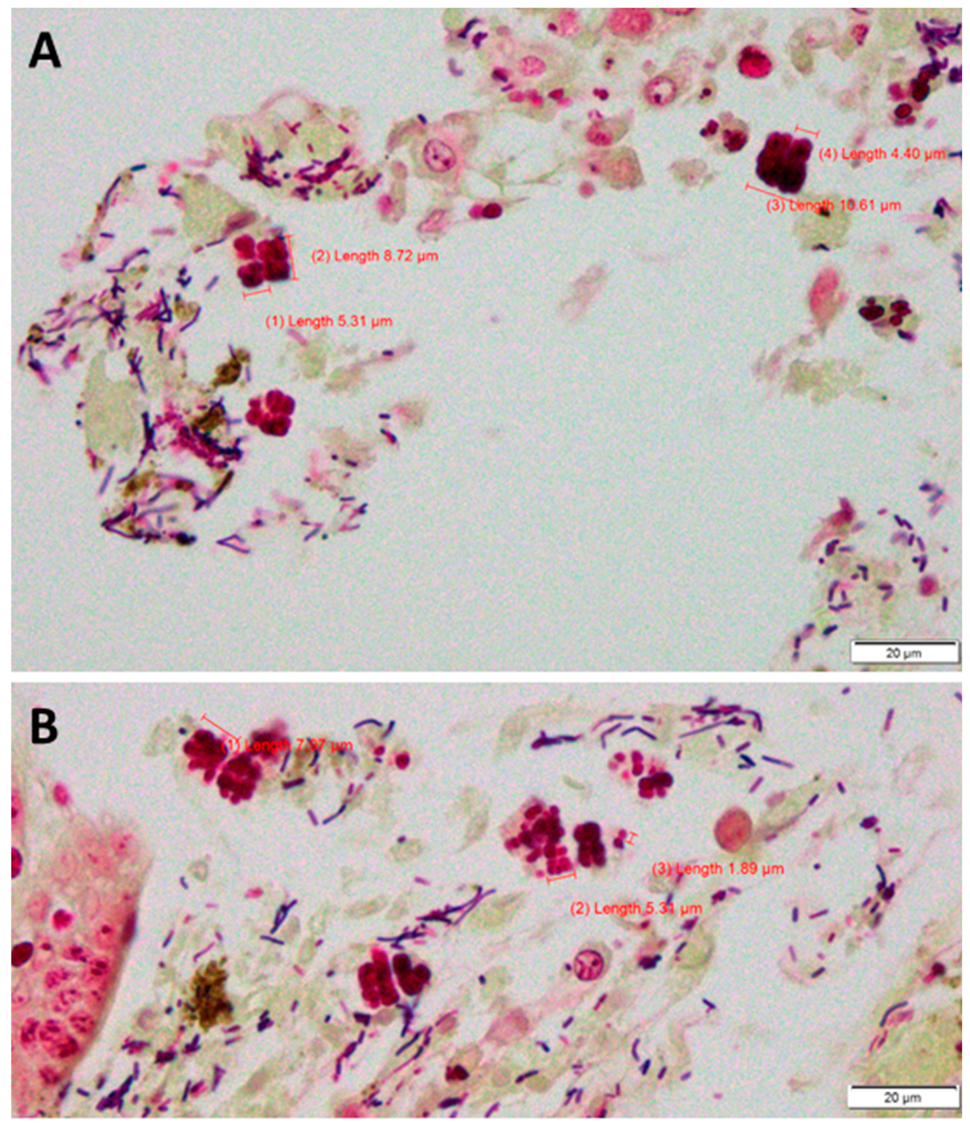 Preprints 78911 g002