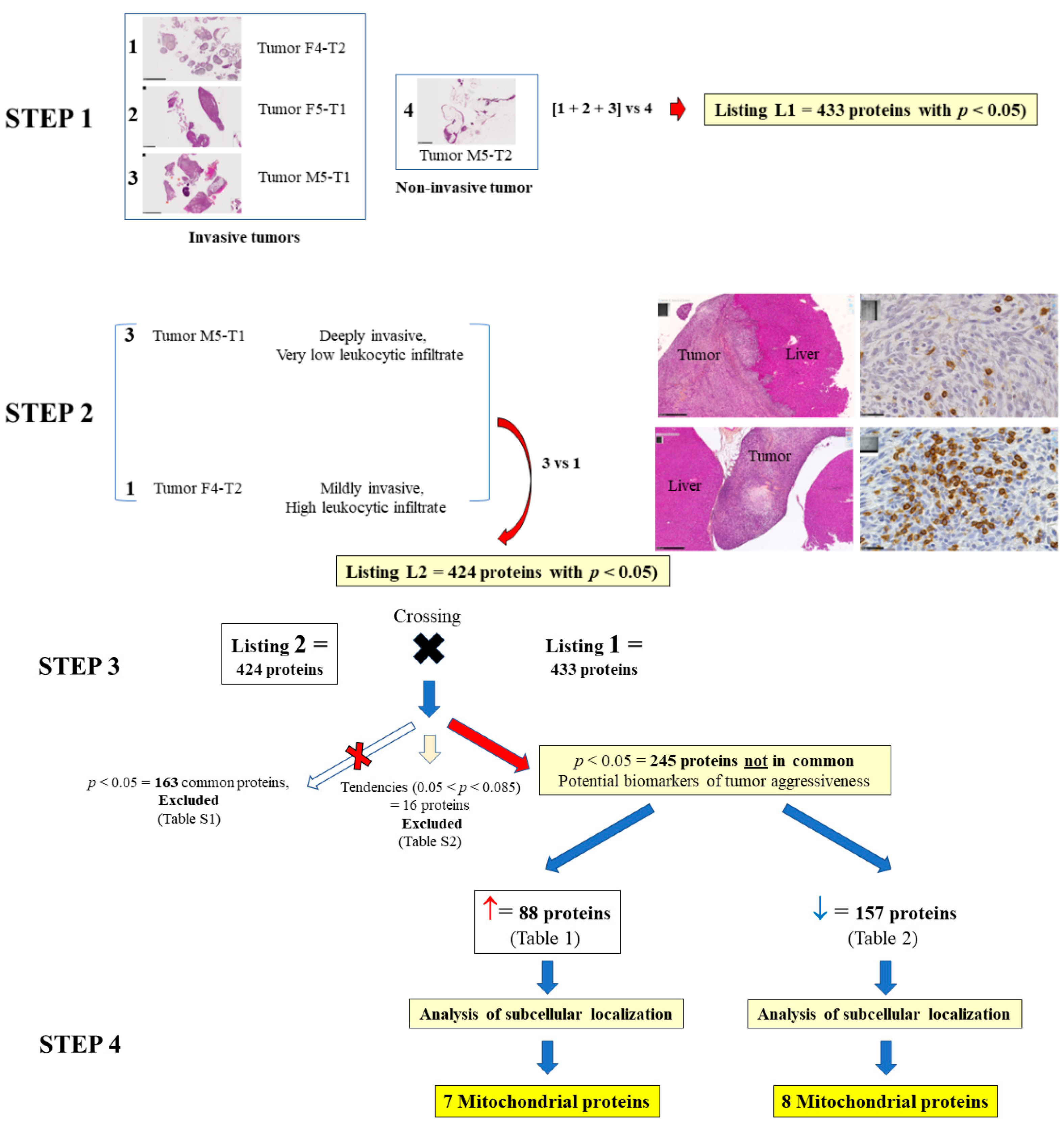 Preprints 74456 g001
