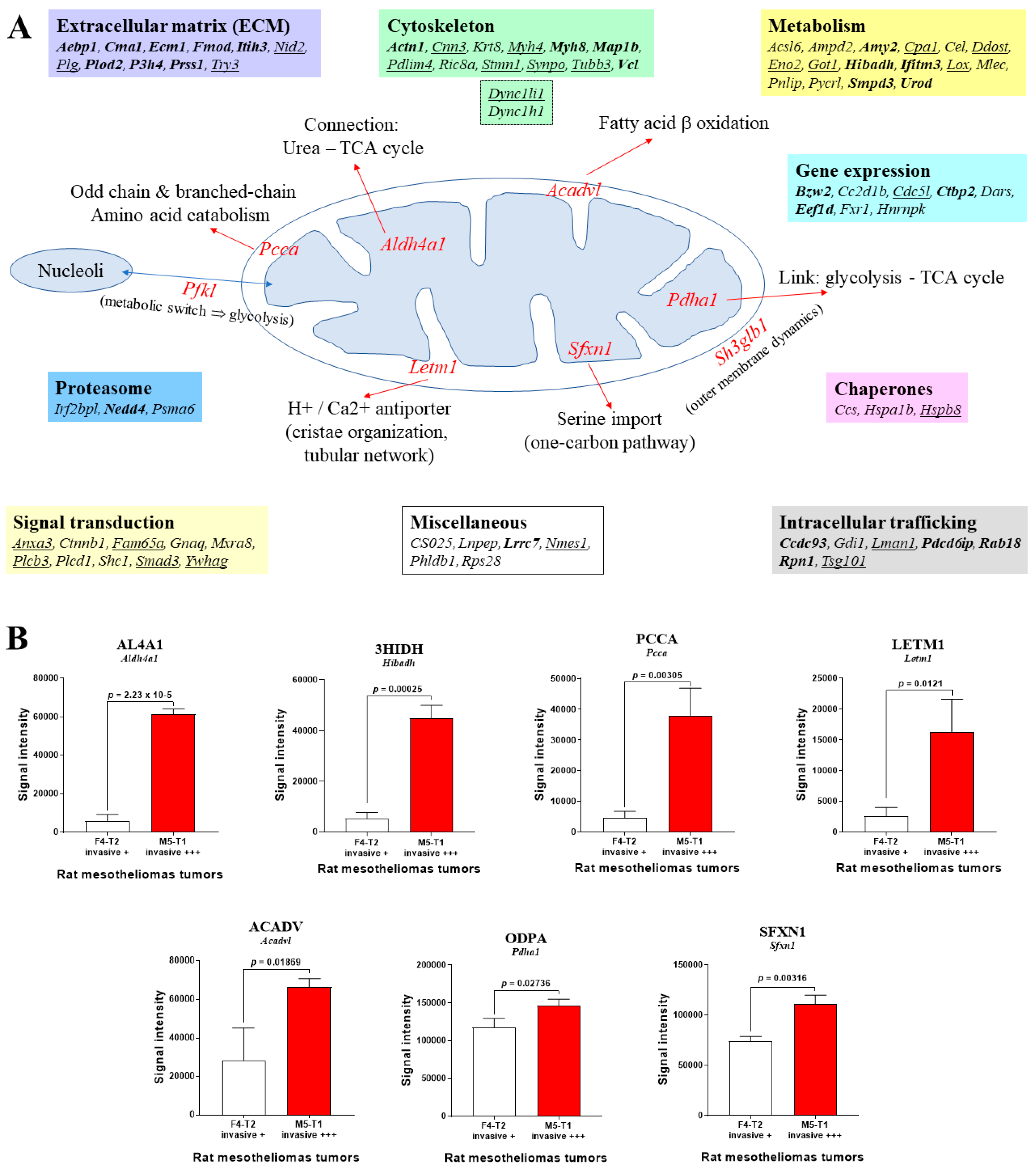 Preprints 74456 g002a