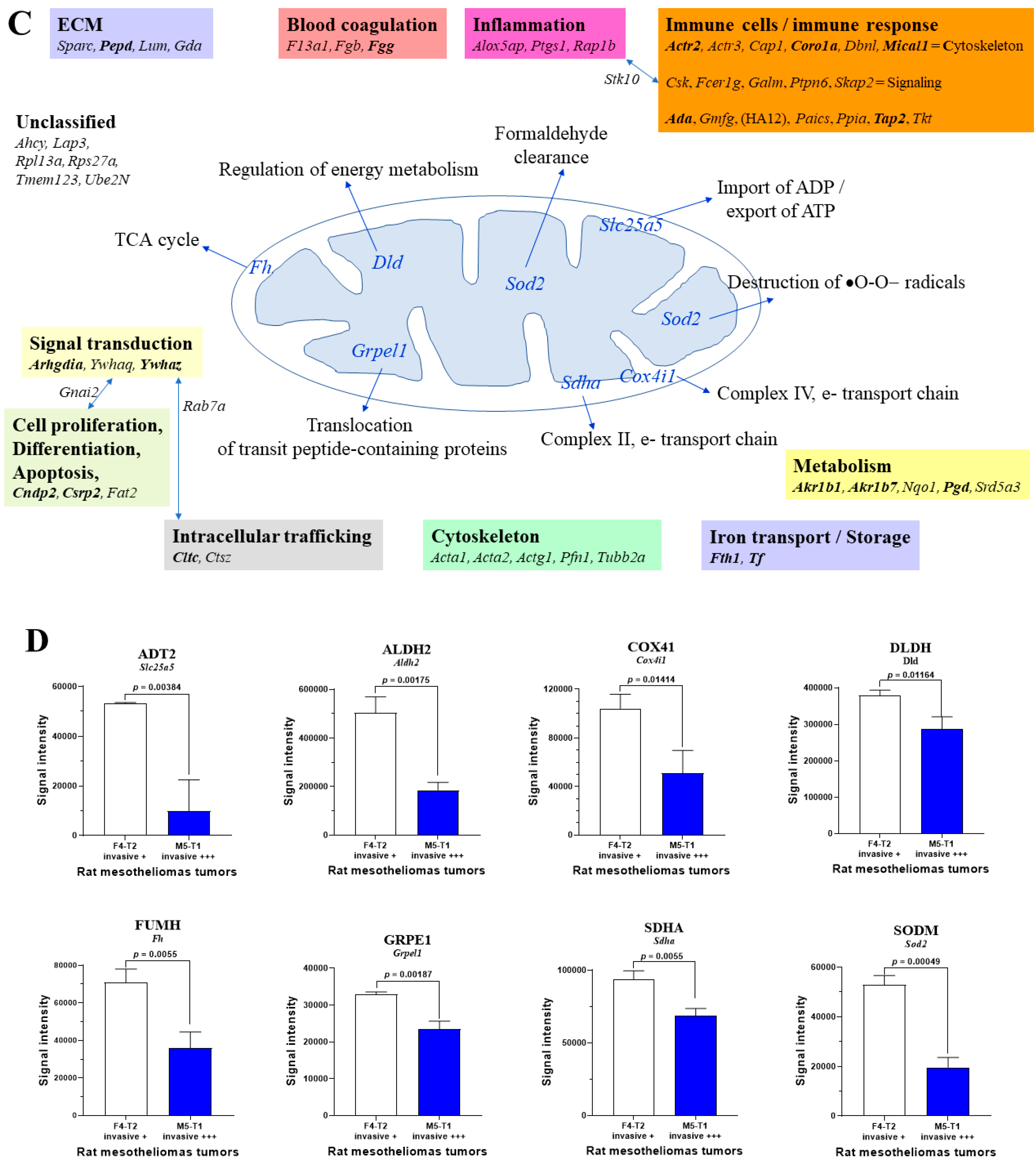 Preprints 74456 g002b