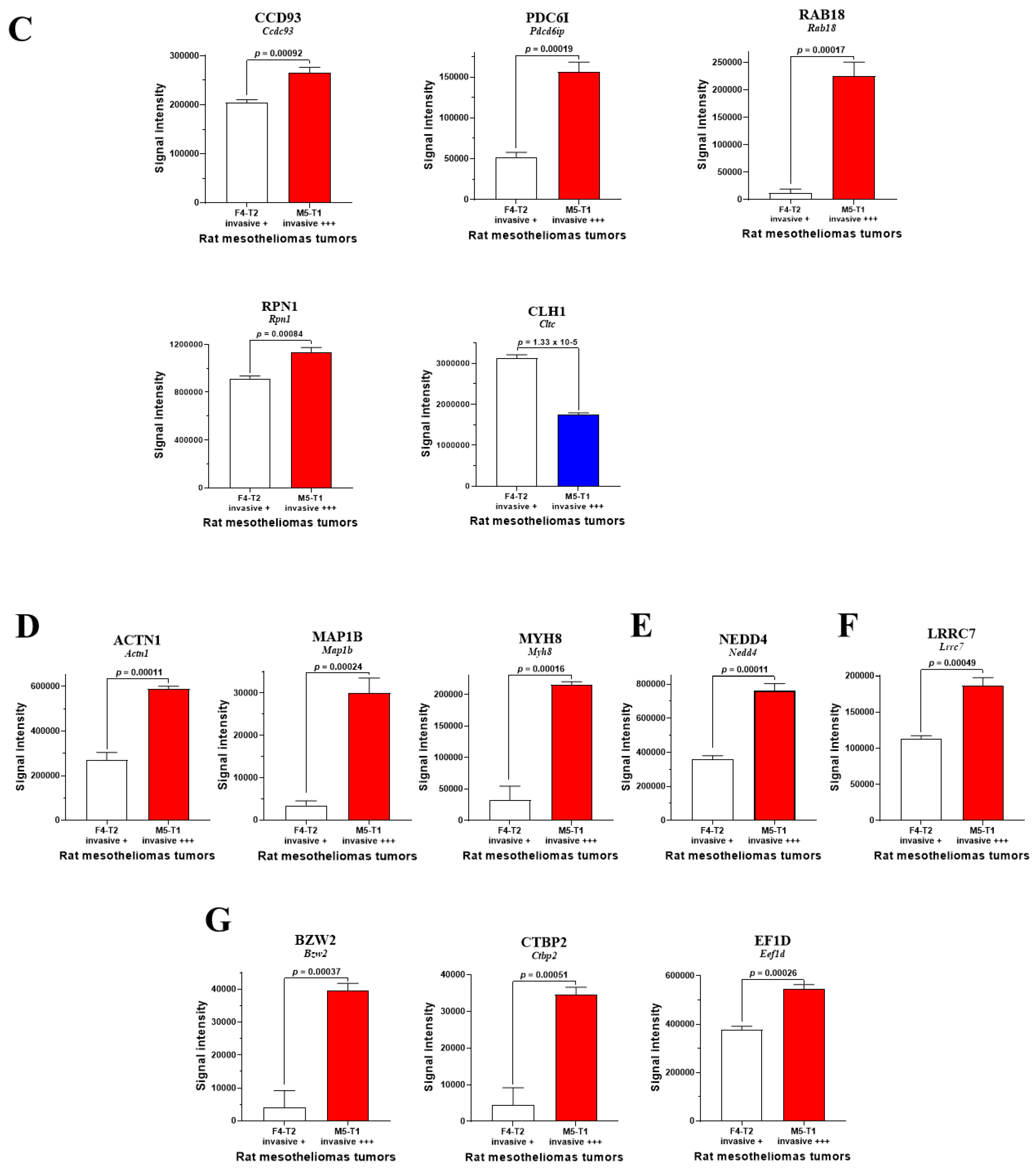 Preprints 74456 g003b