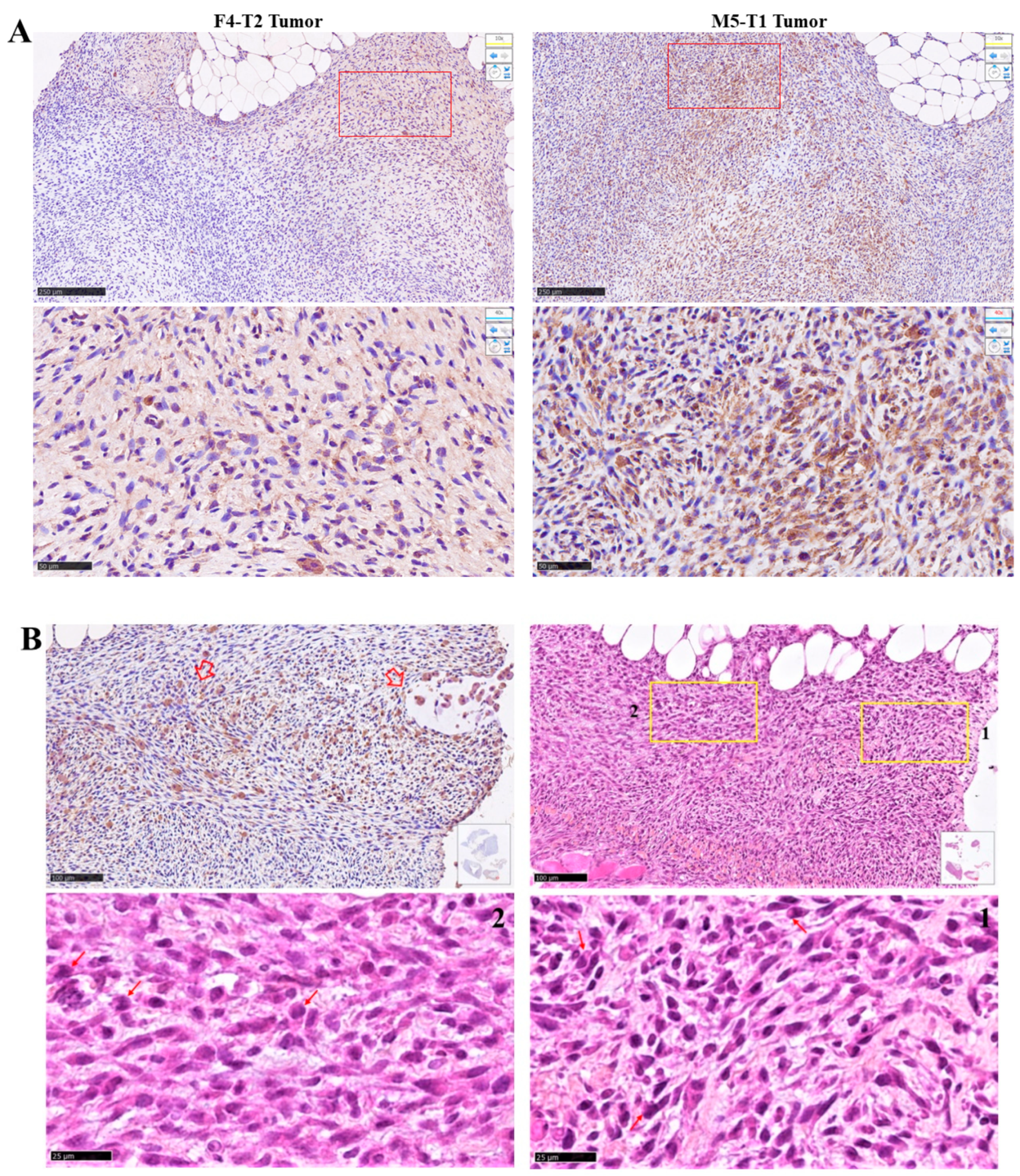 Preprints 74456 g005