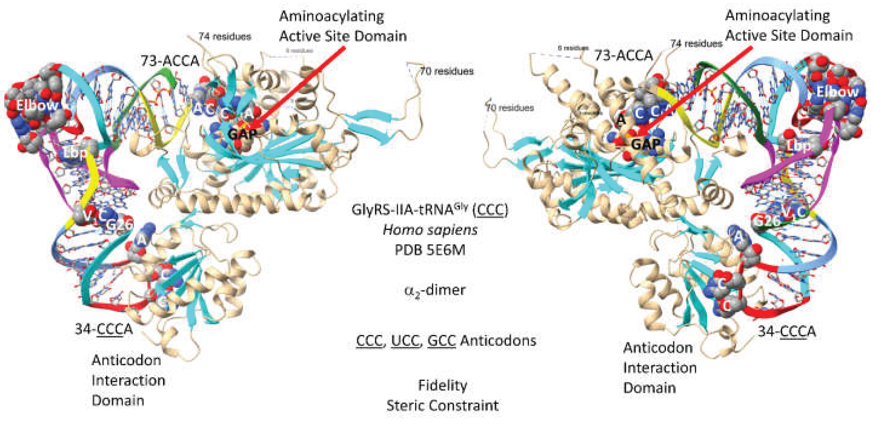 Preprints 203151 g001