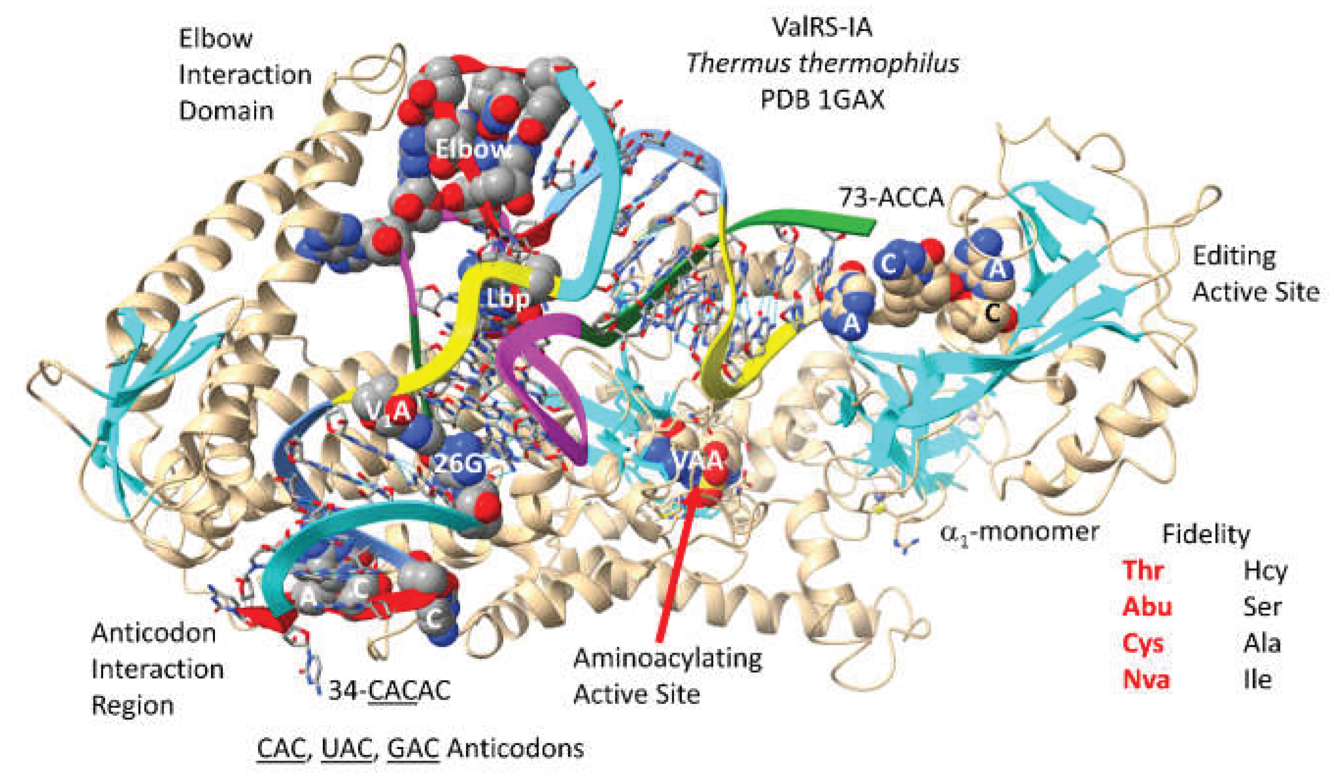Preprints 203151 g003