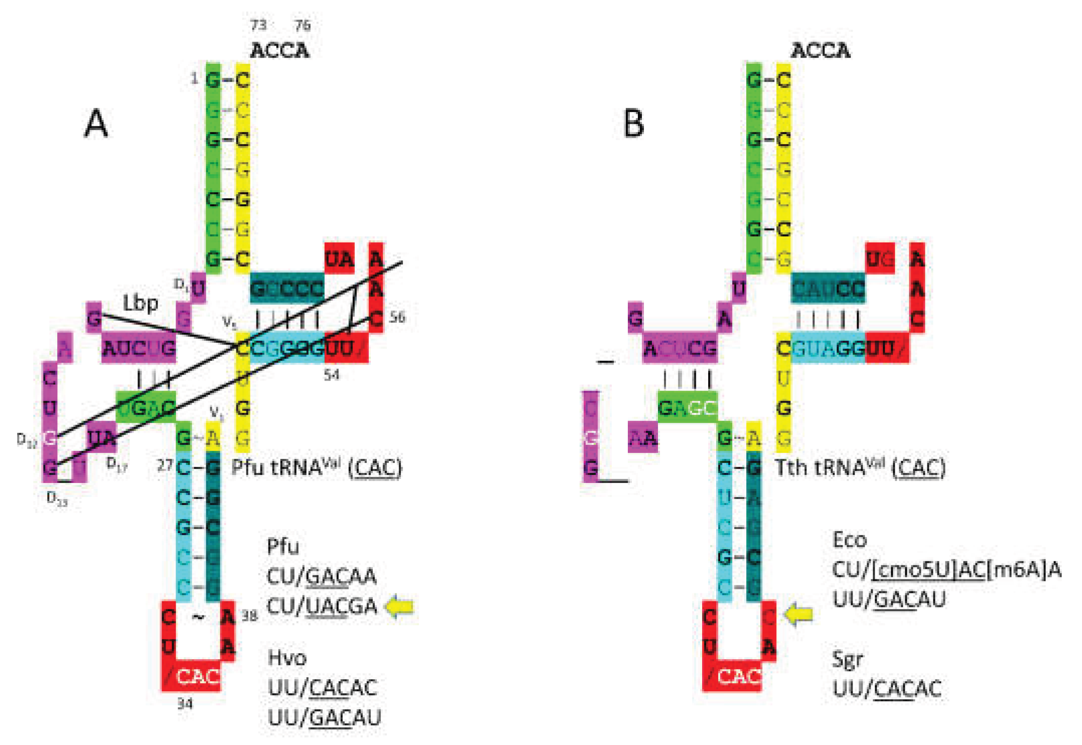 Preprints 203151 g004