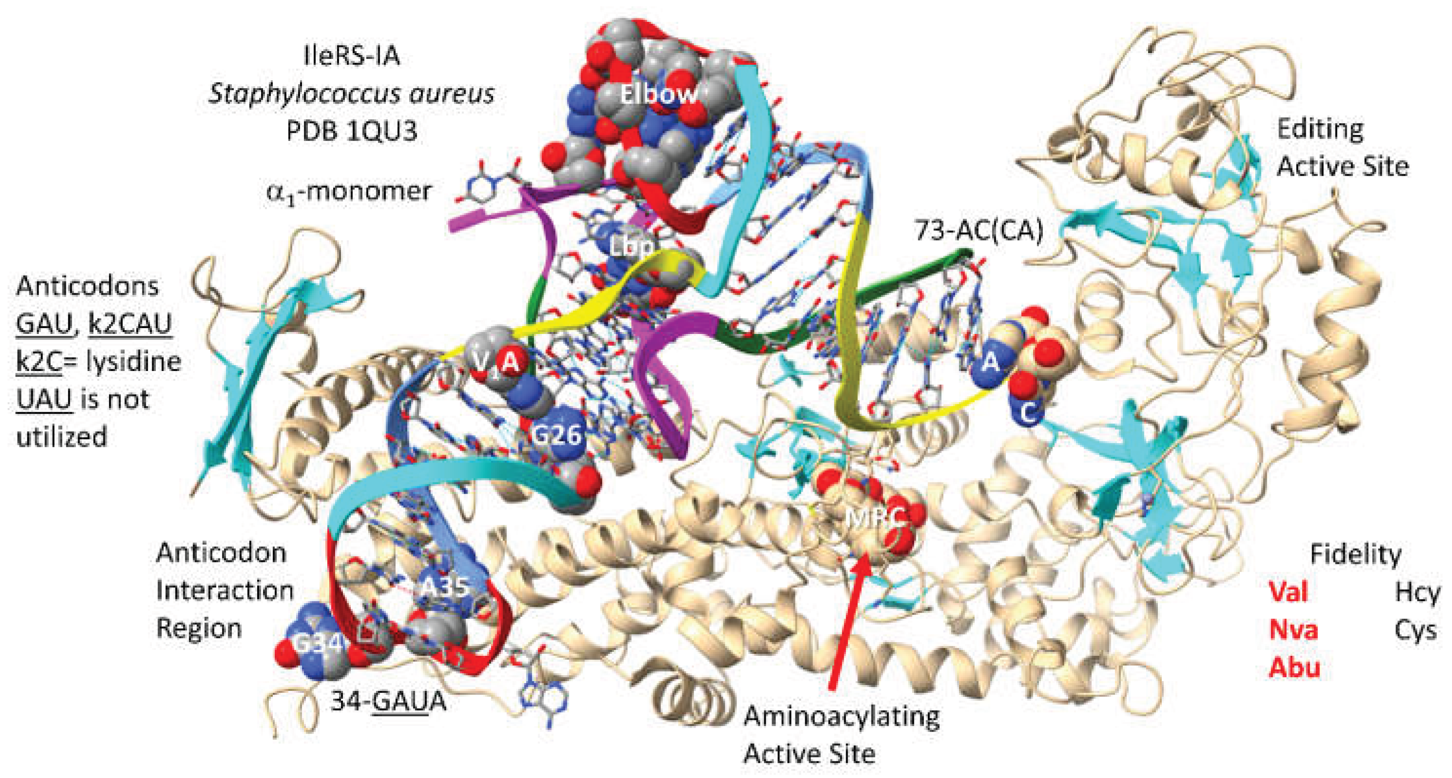 Preprints 203151 g005