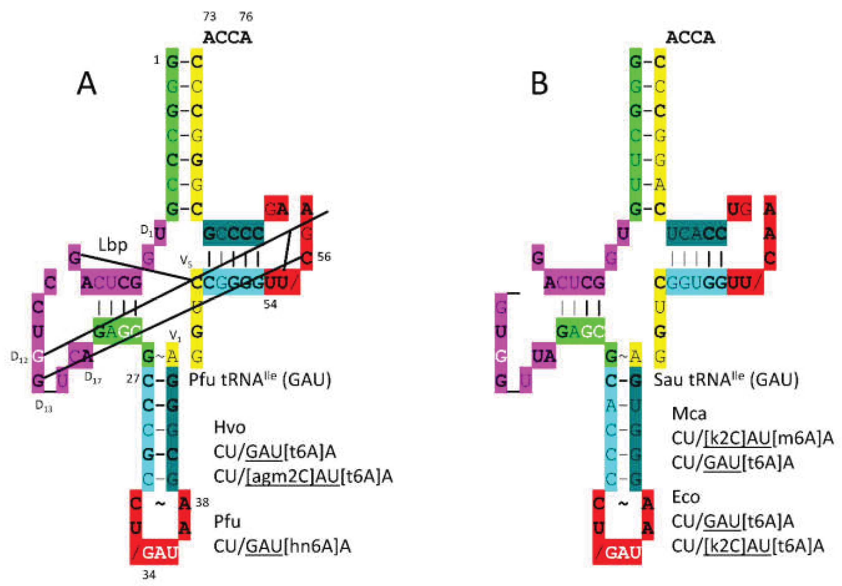 Preprints 203151 g006