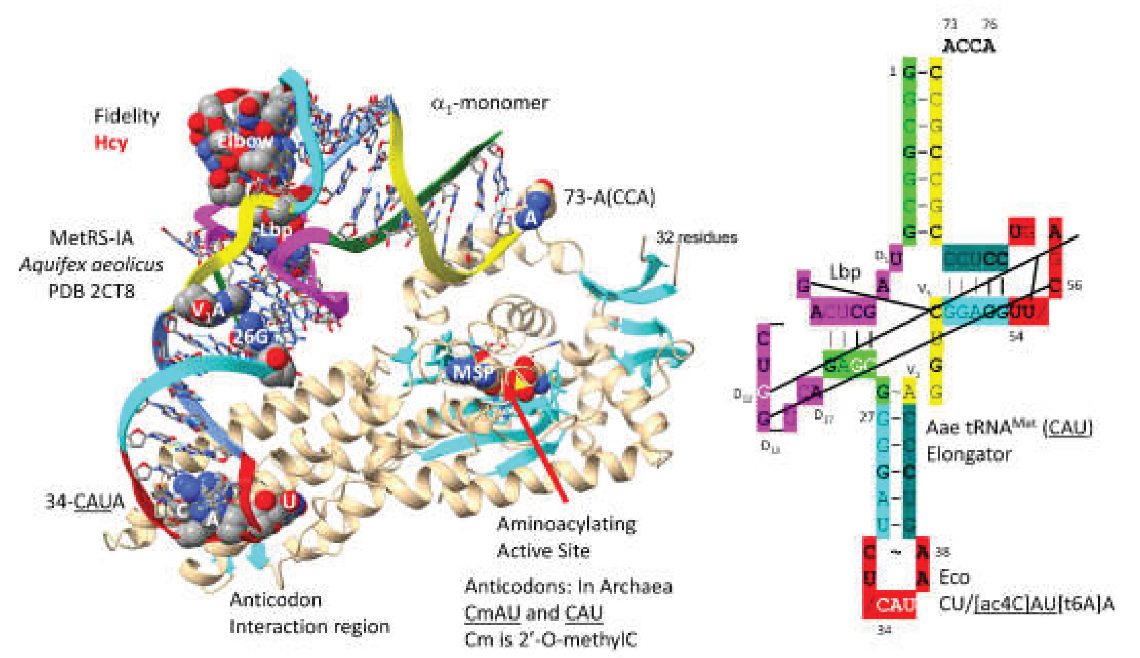 Preprints 203151 g007