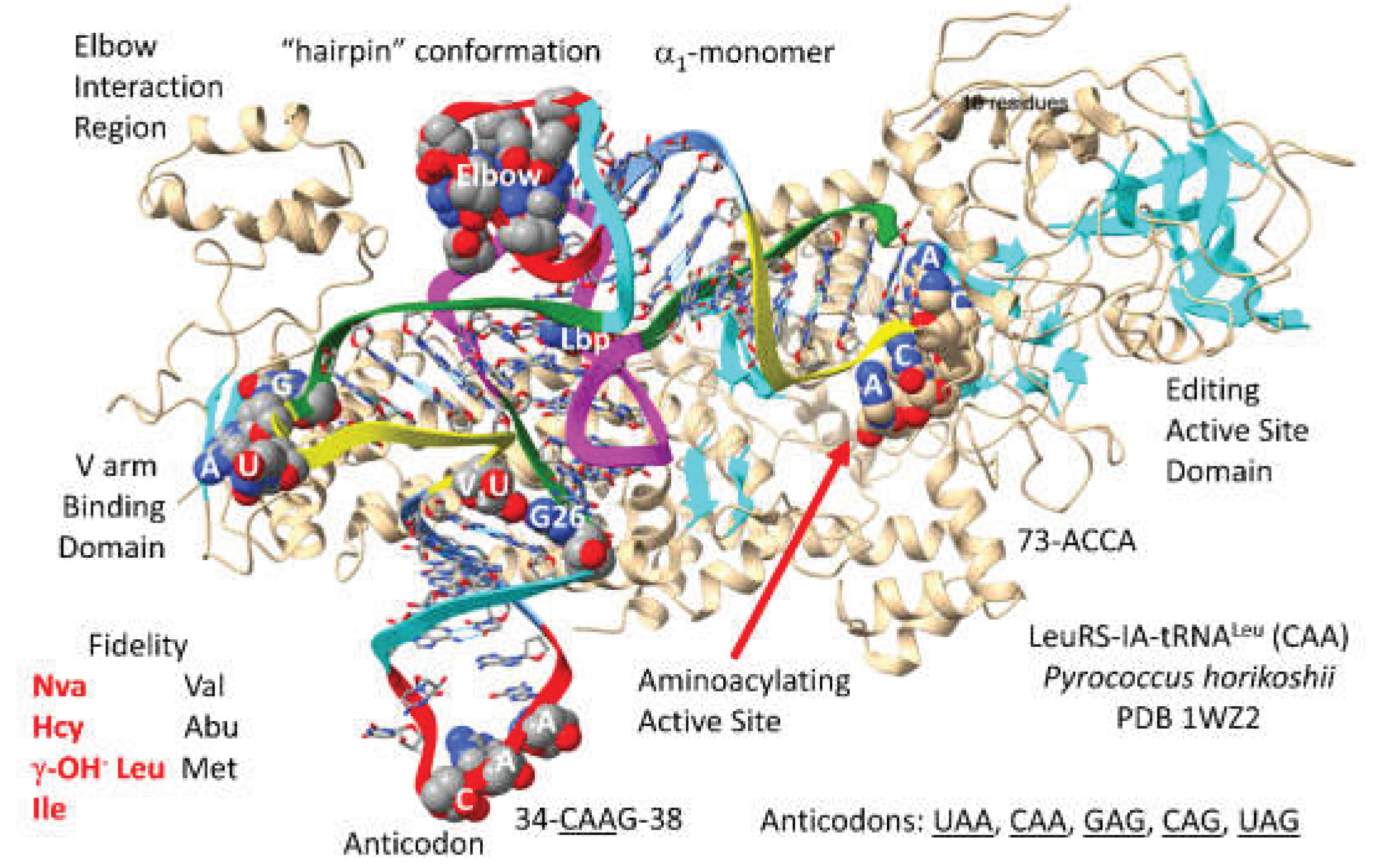 Preprints 203151 g009
