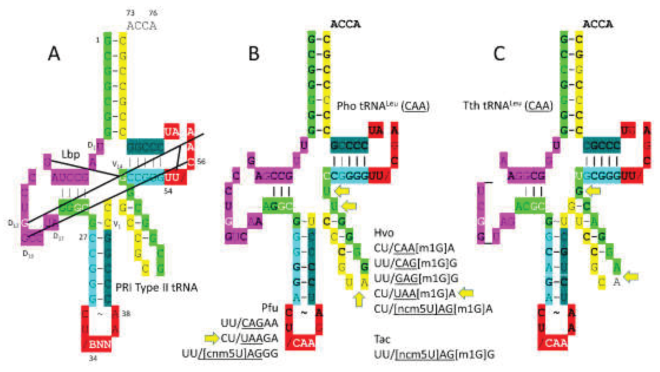 Preprints 203151 g010