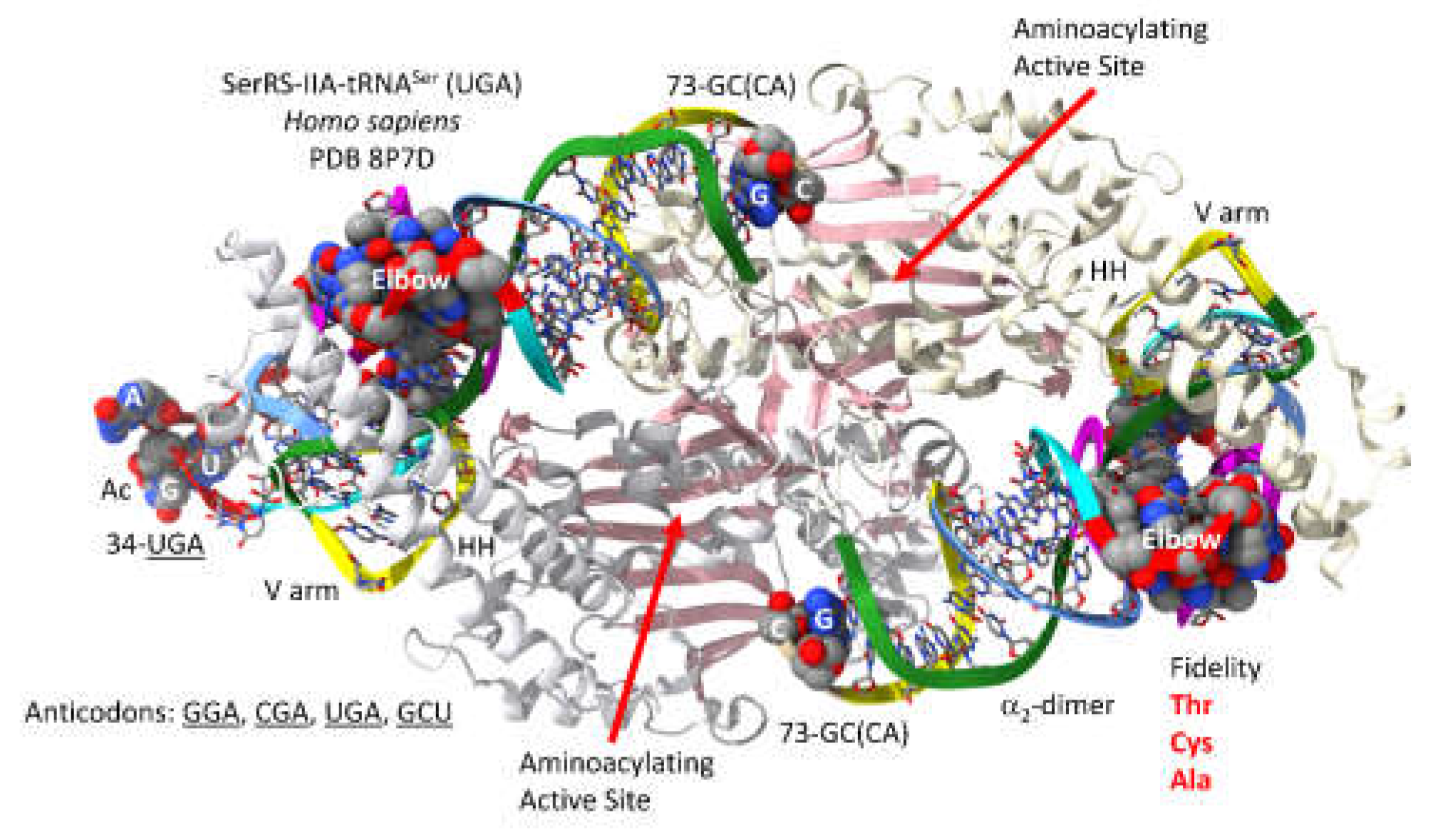 Preprints 203151 g011
