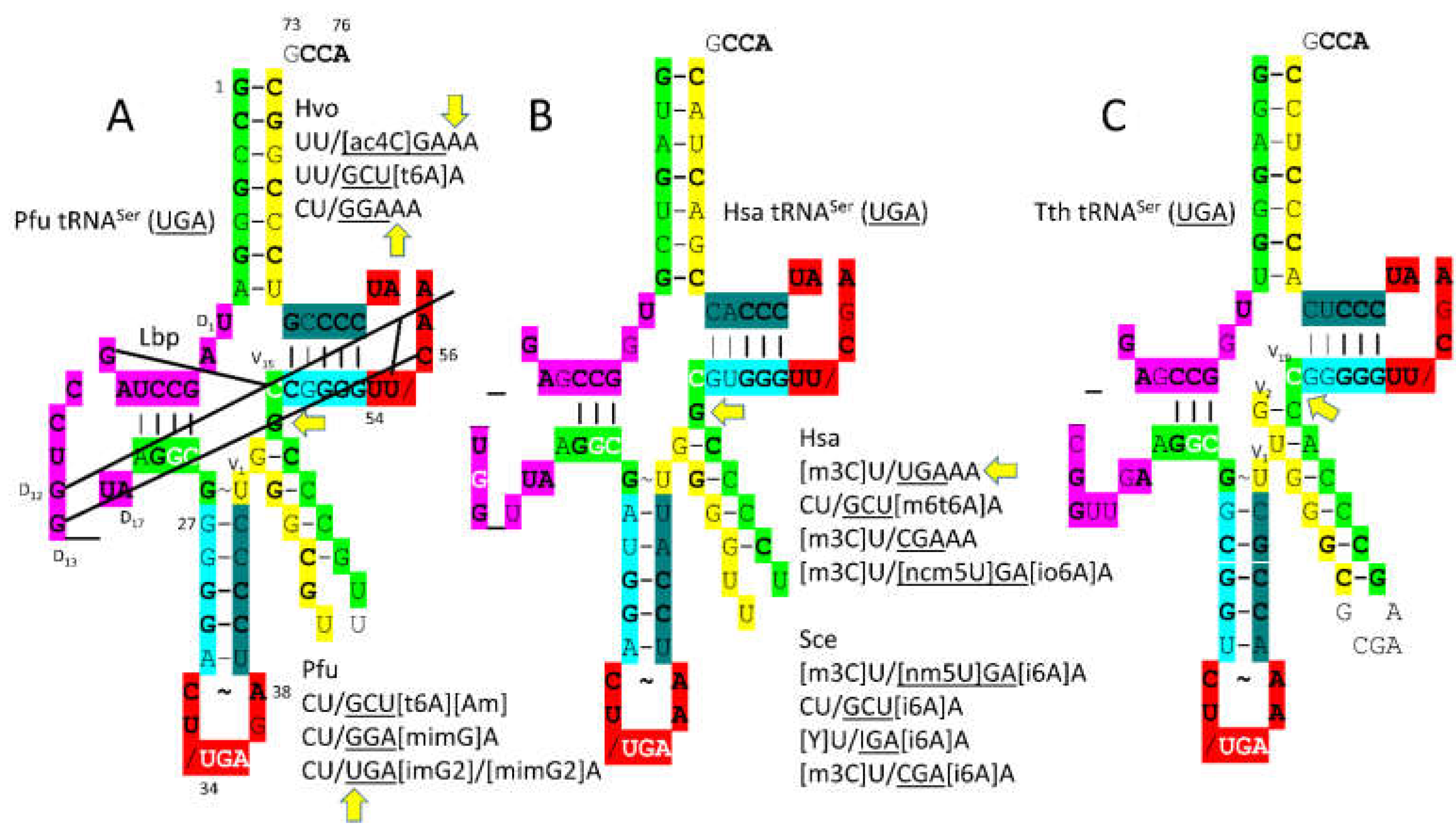 Preprints 203151 g012