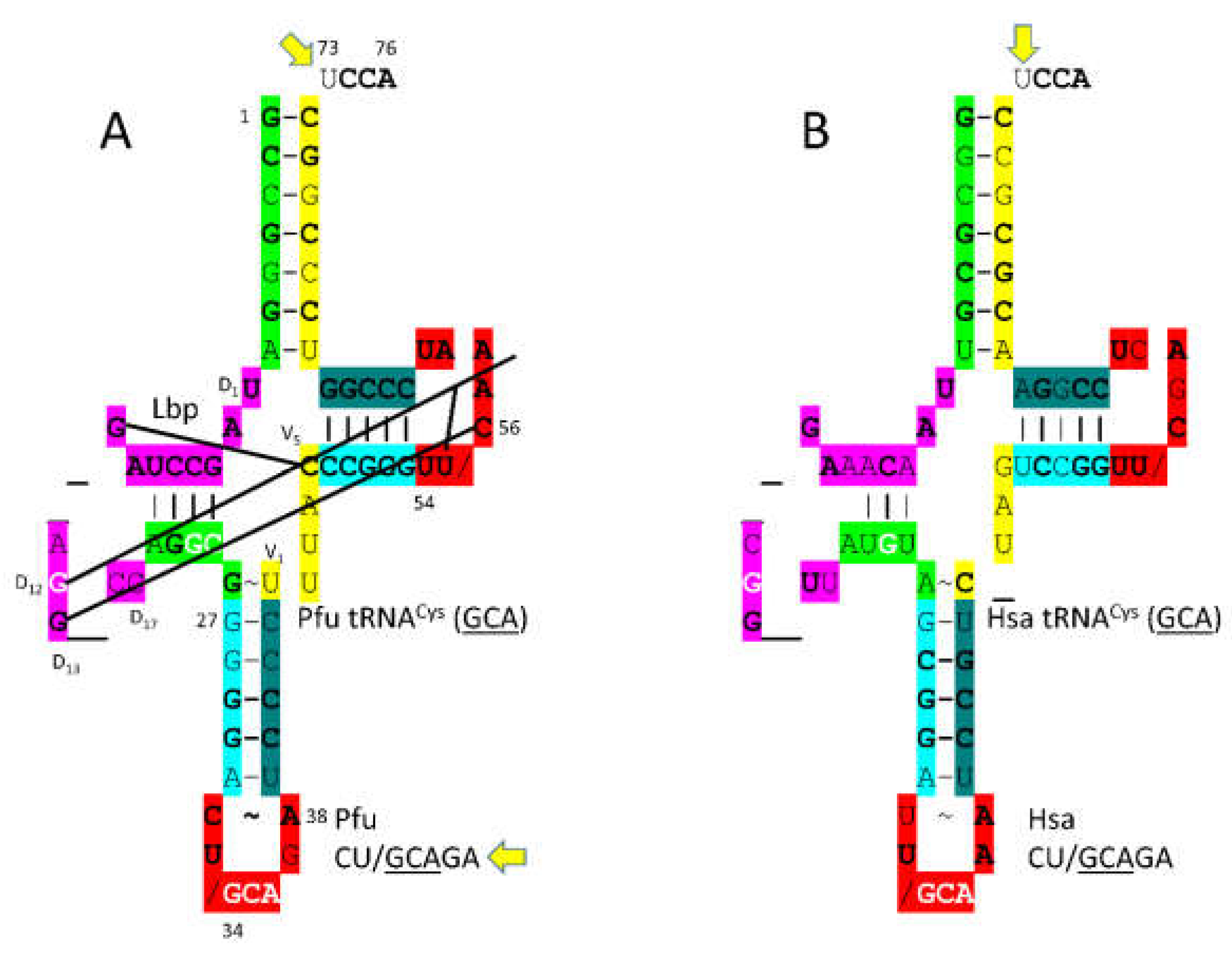 Preprints 203151 g016