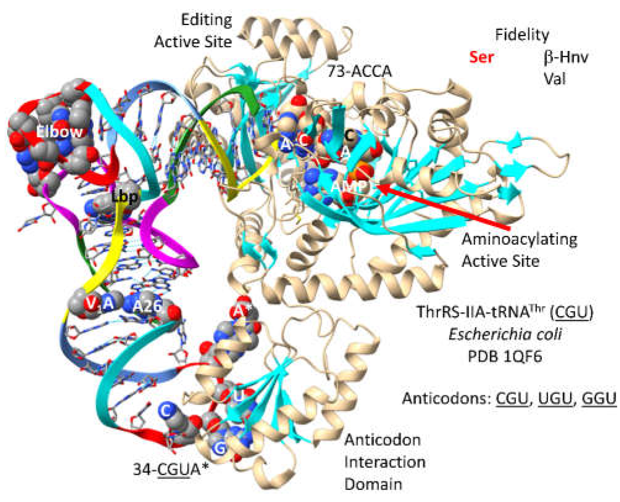 Preprints 203151 g017