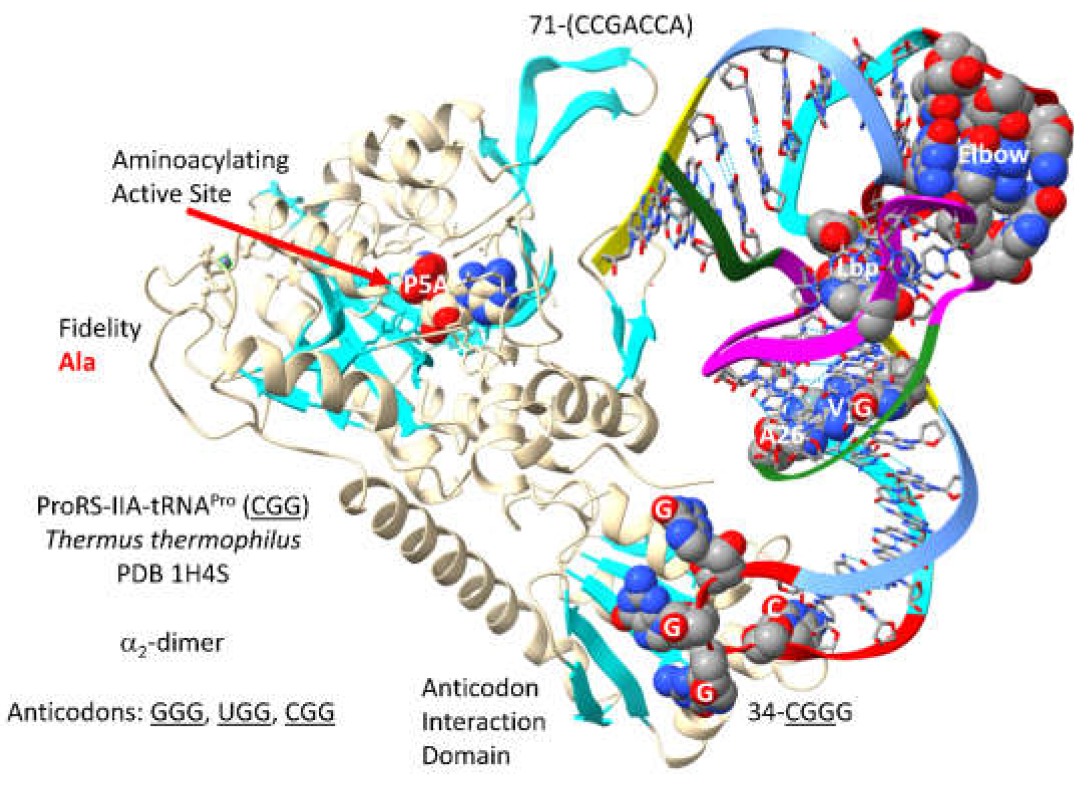 Preprints 203151 g019