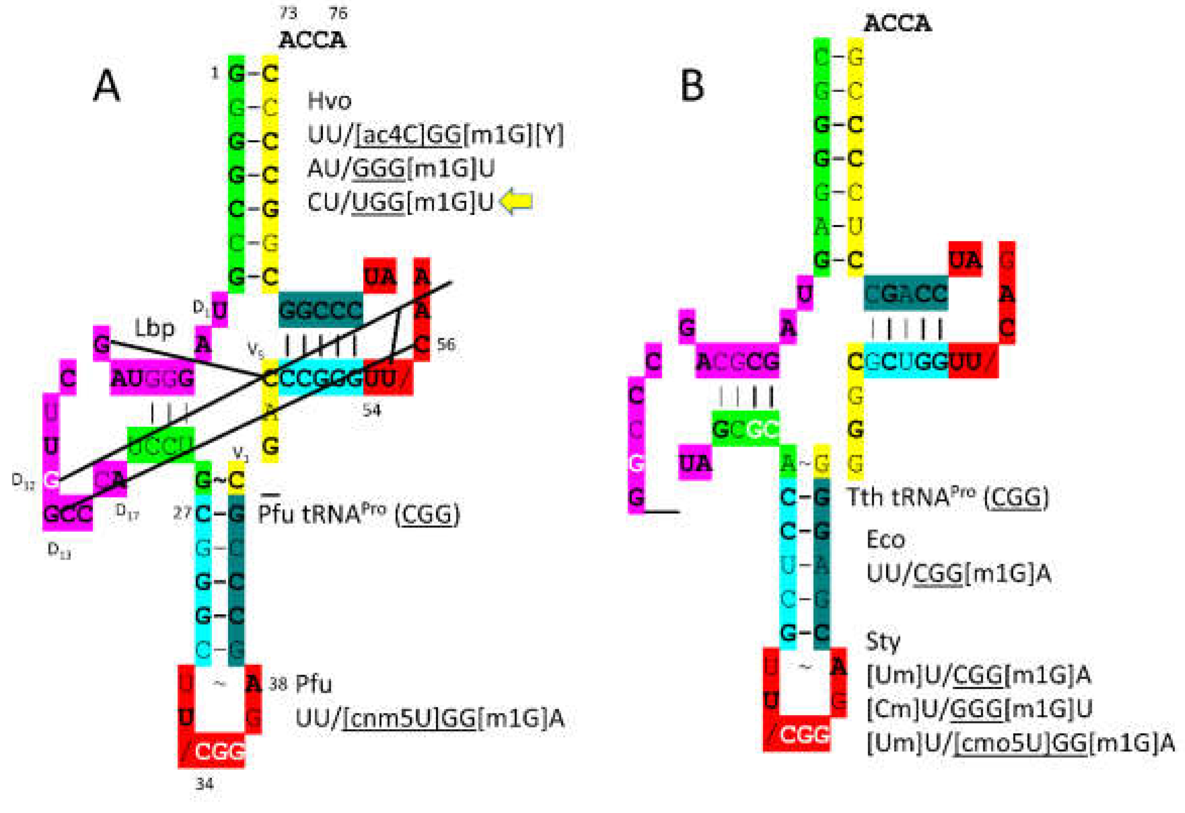 Preprints 203151 g020