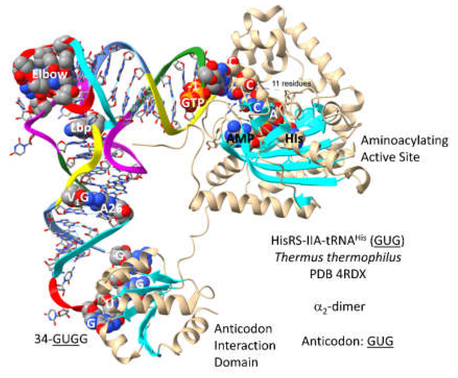 Preprints 203151 g024