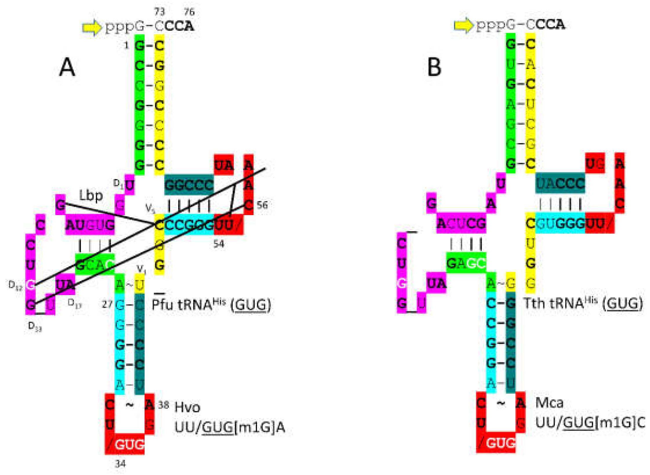 Preprints 203151 g025