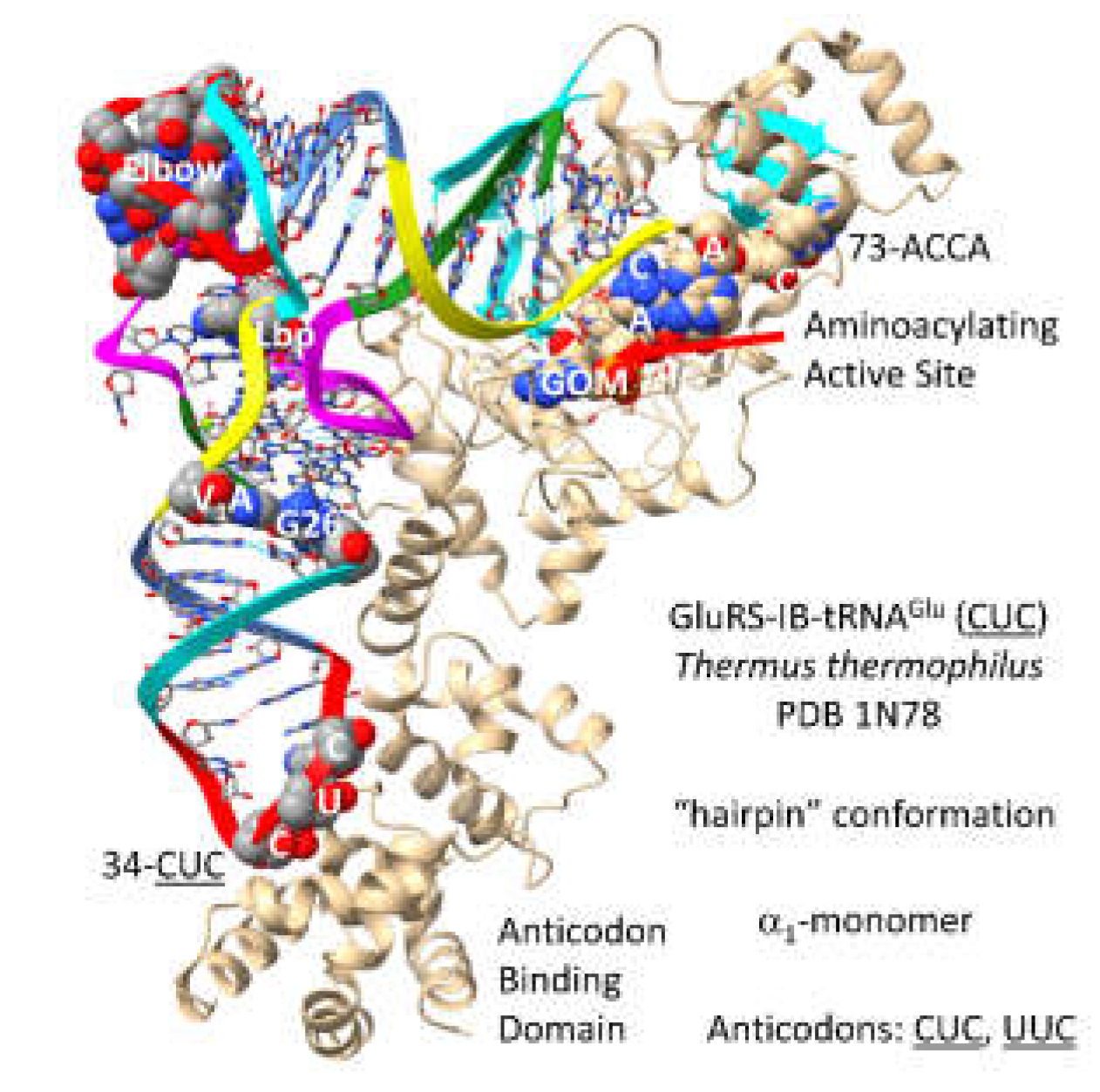Preprints 203151 g026