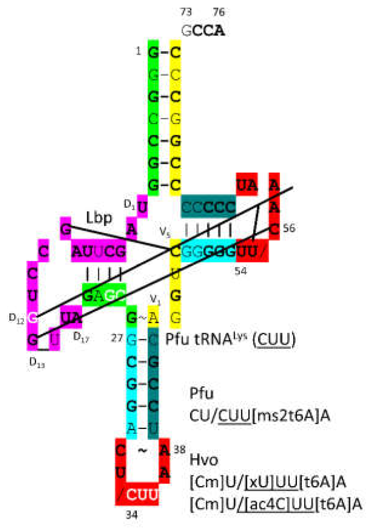 Preprints 203151 g027